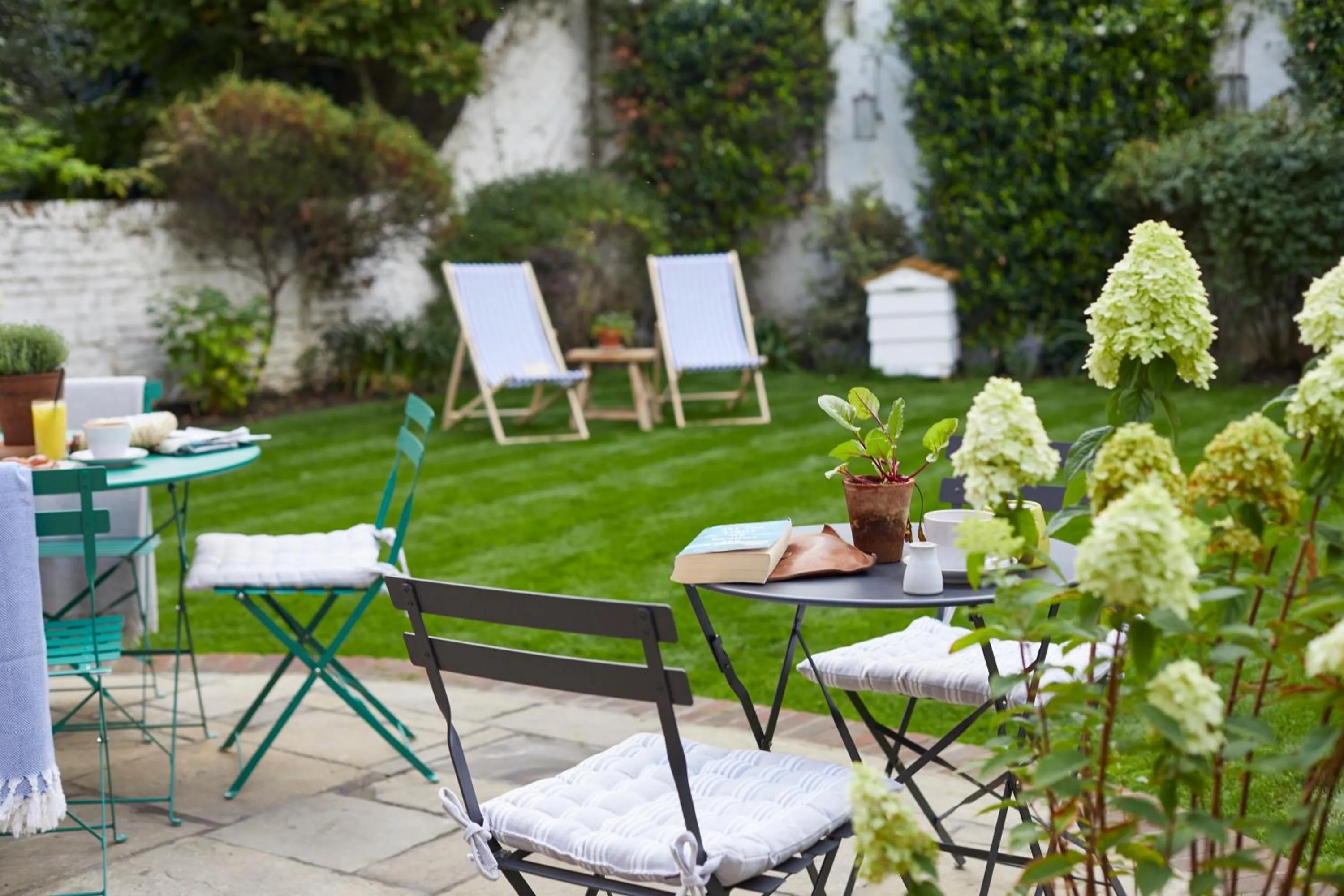 Garden in Room Mate Lime Tree