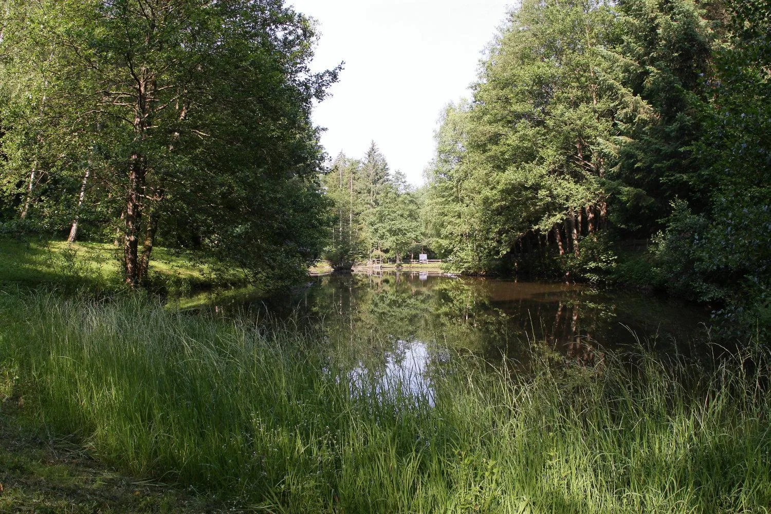 Area and facilities in Zur Morschbach