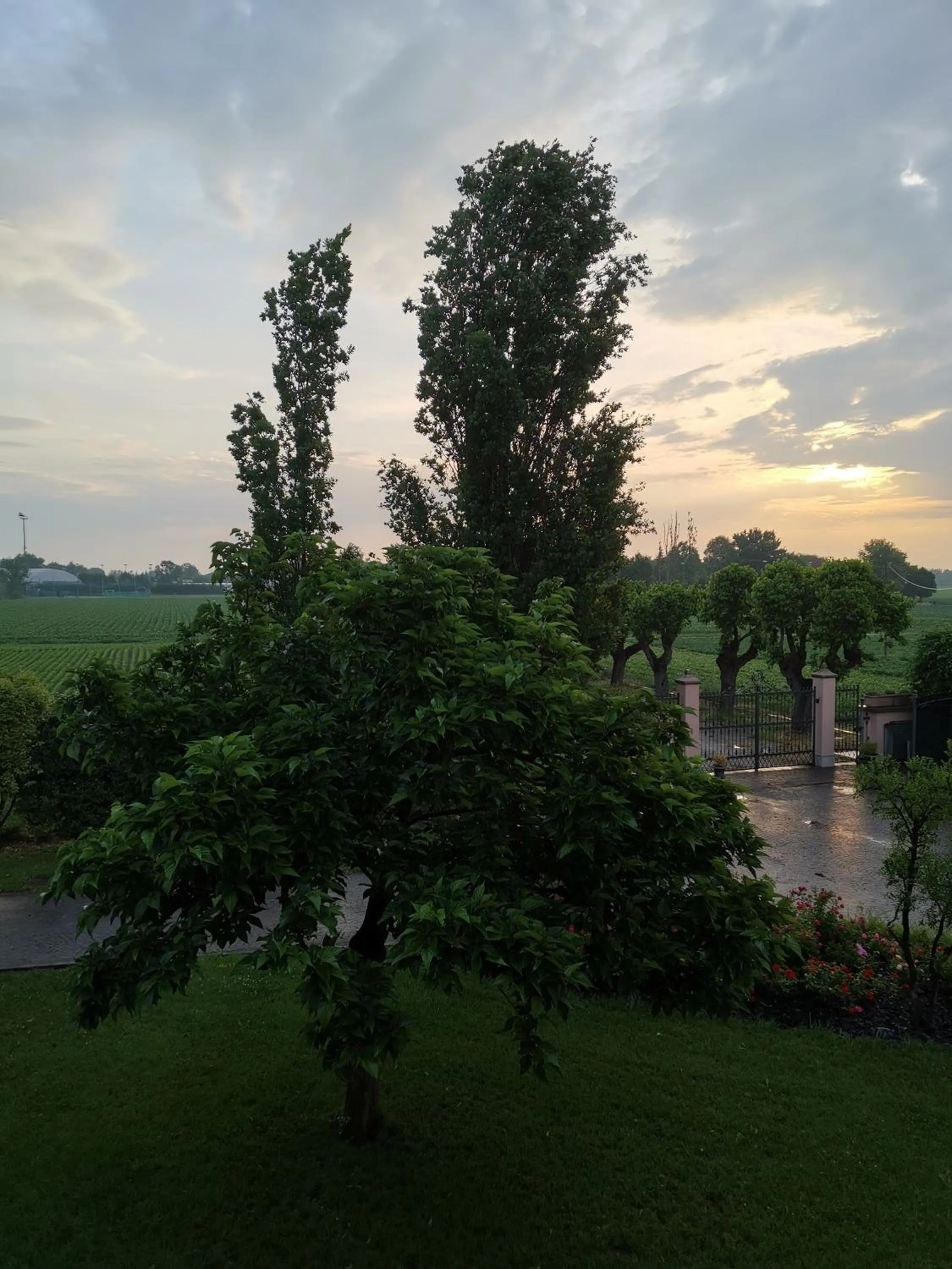 Natural landscape in Casa Flosa Room & Breakfast