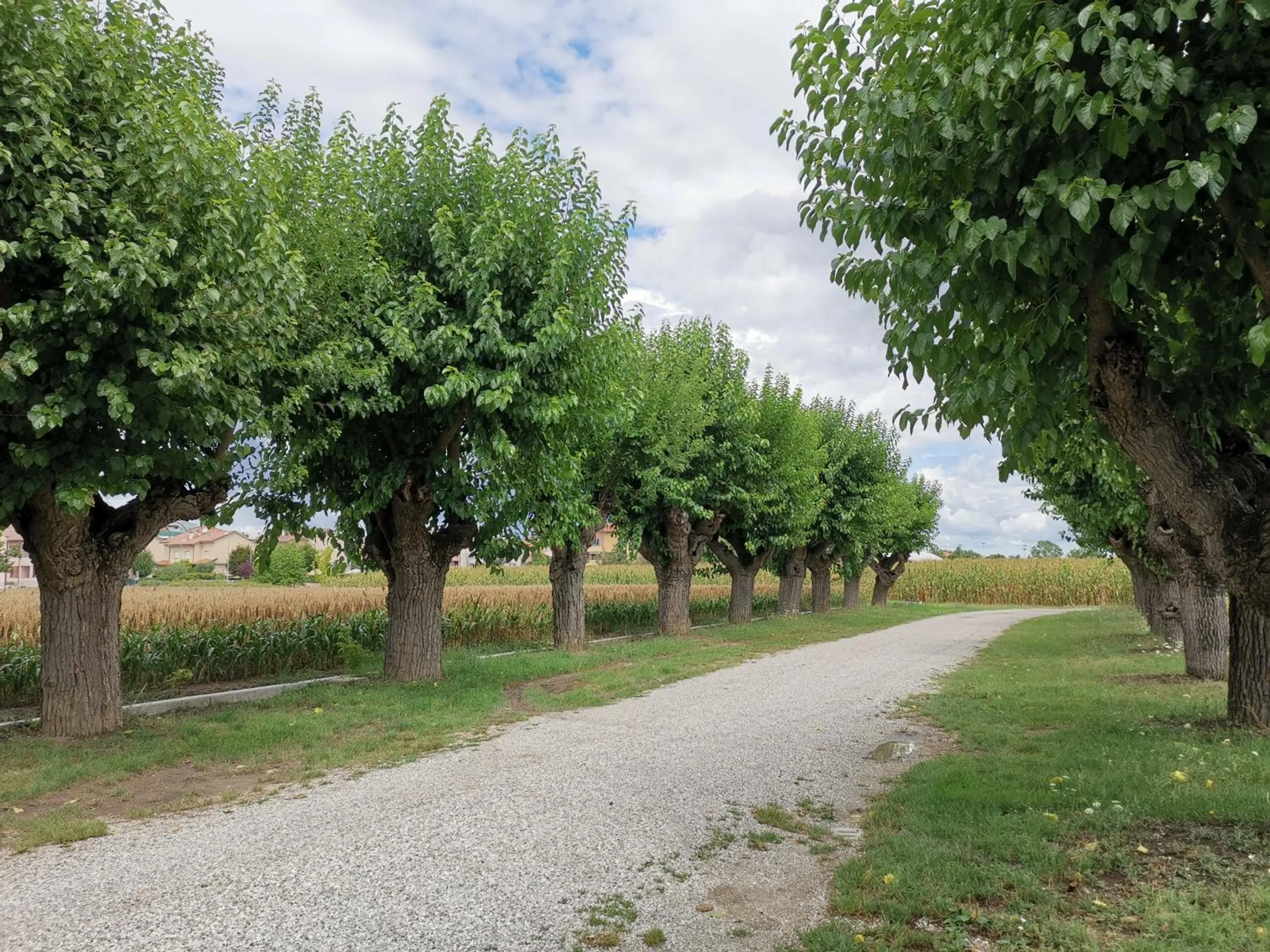 Street view in Casa Flosa Room & Breakfast