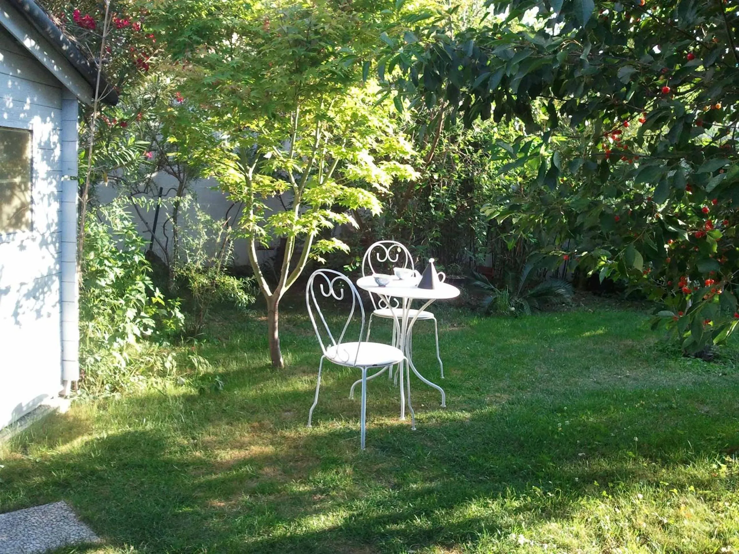 Garden in Les petits poissons