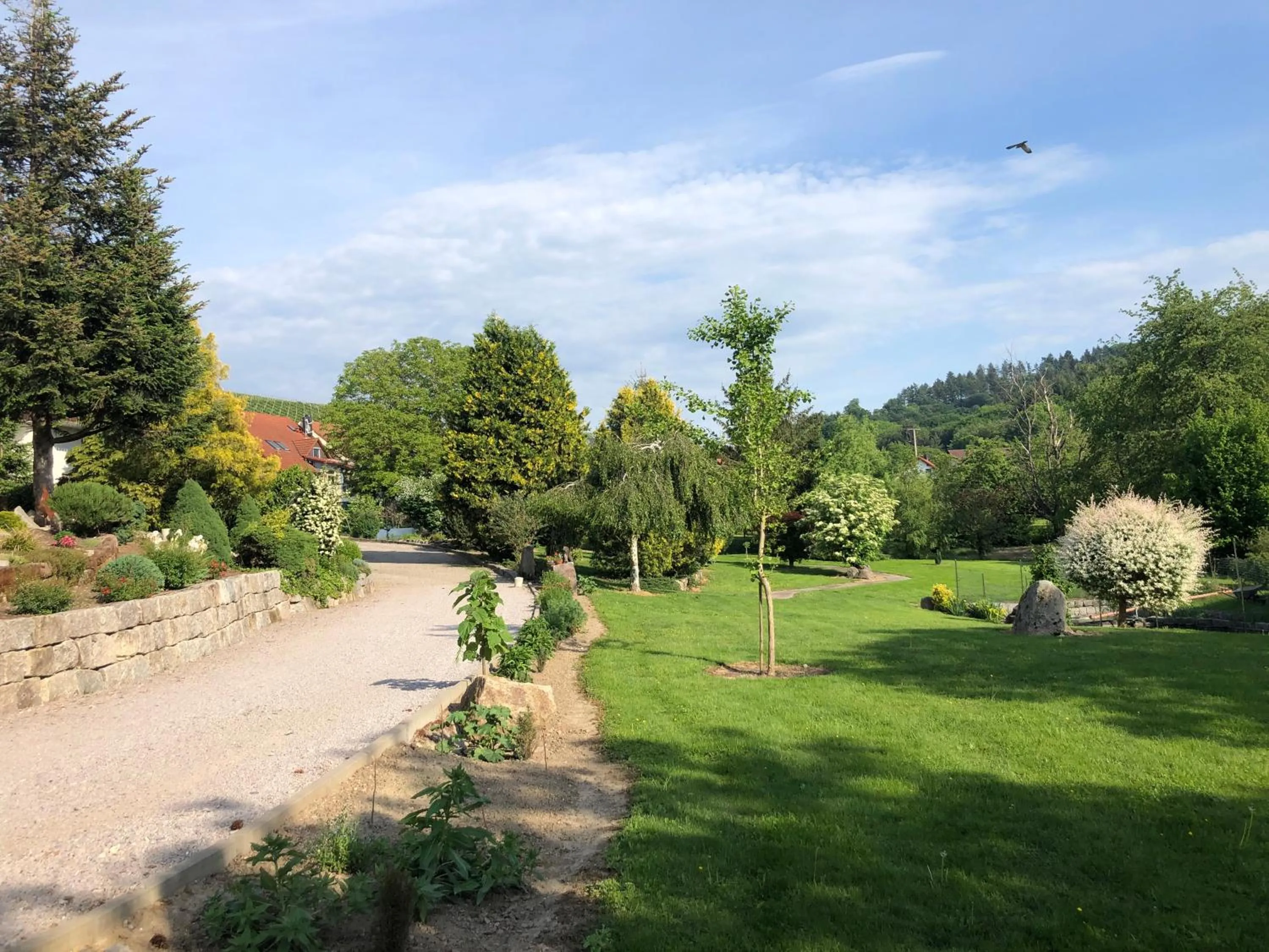 Garden in Hotel-Gasthof Rose