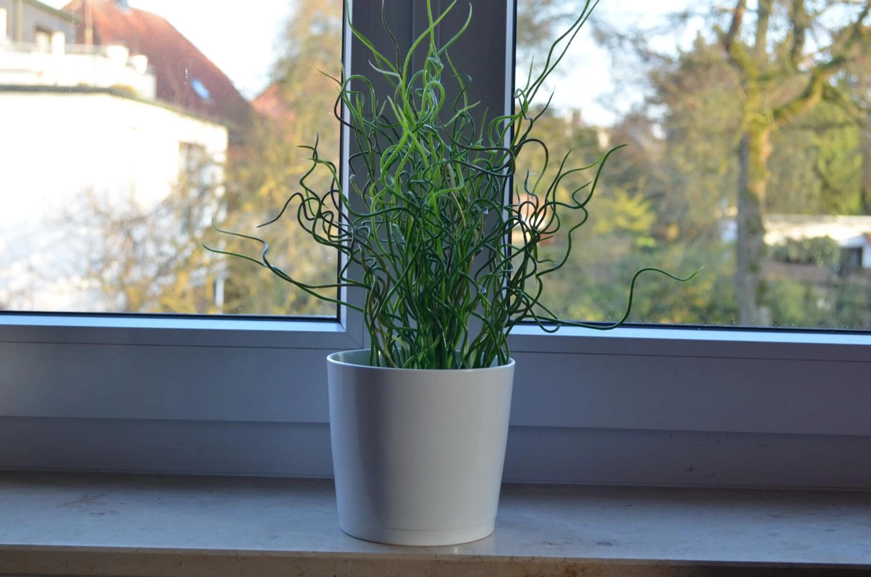 Decorative detail in Hotel Alter Giebel