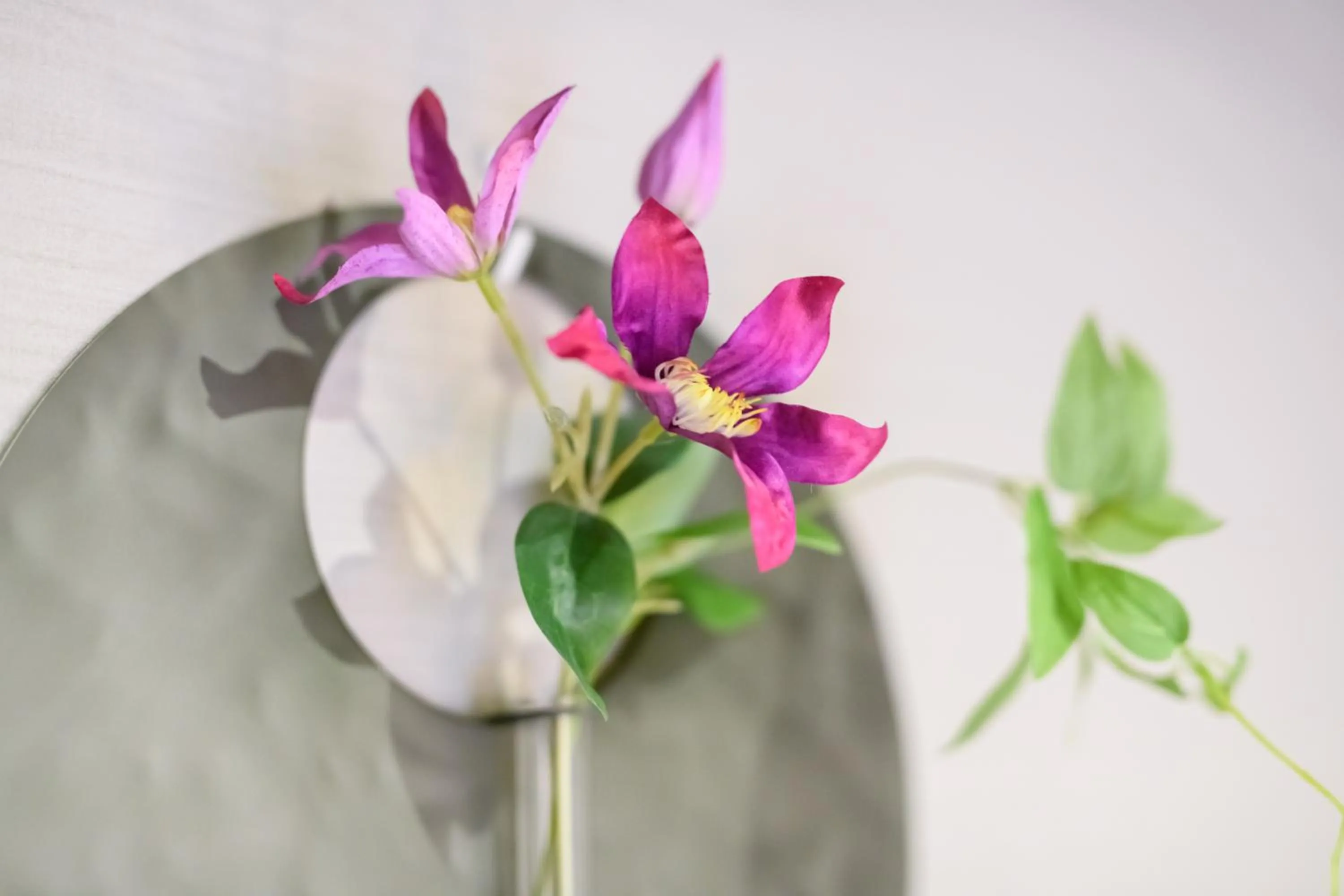 JP INN Kyoto Ekimae Mongakucho