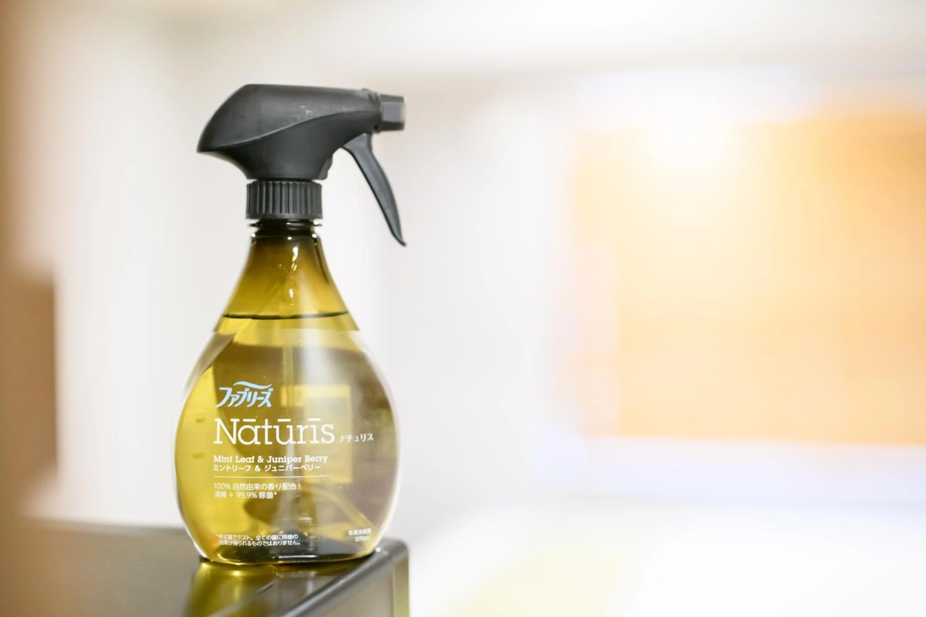 JP INN Kyoto Ekimae Mongakucho