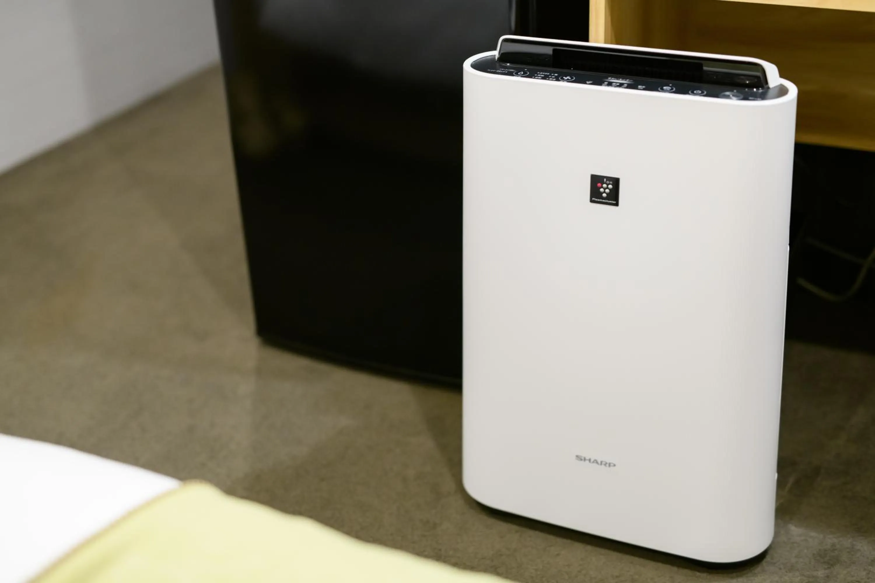 JP INN Kyoto Ekimae Mongakucho