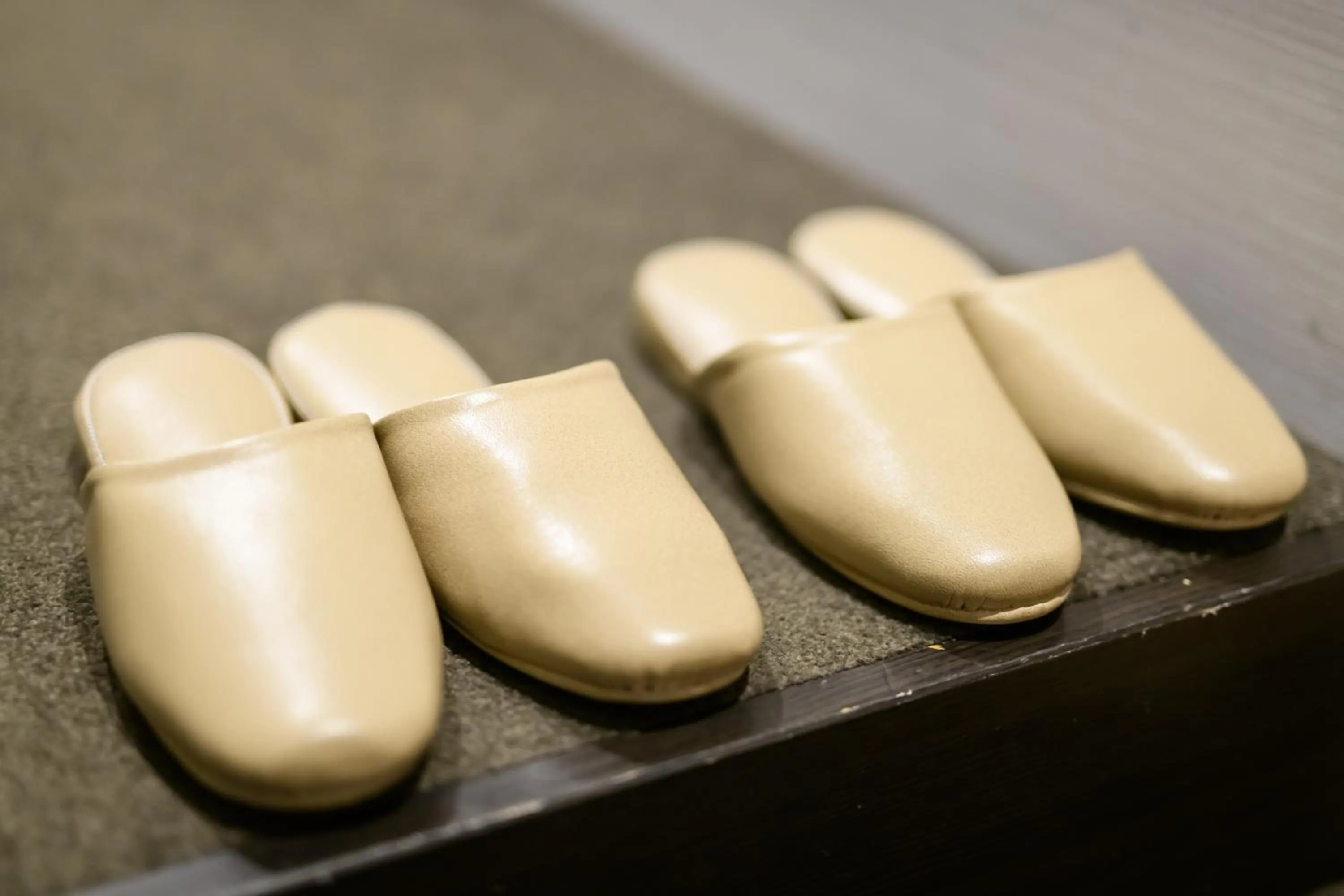 JP INN Kyoto Ekimae Mongakucho