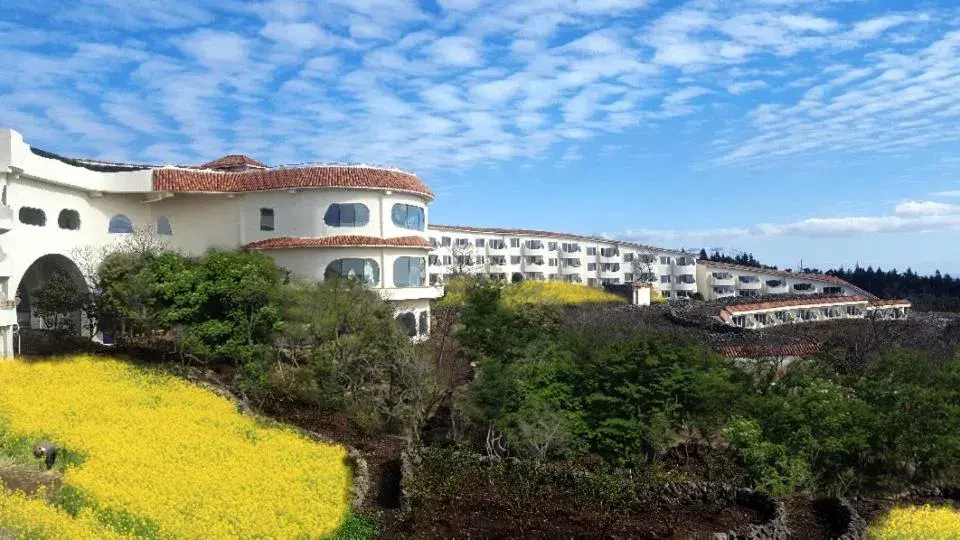 Property building in Club ES Jeju Resort Property building in Club ES Jeju Resort