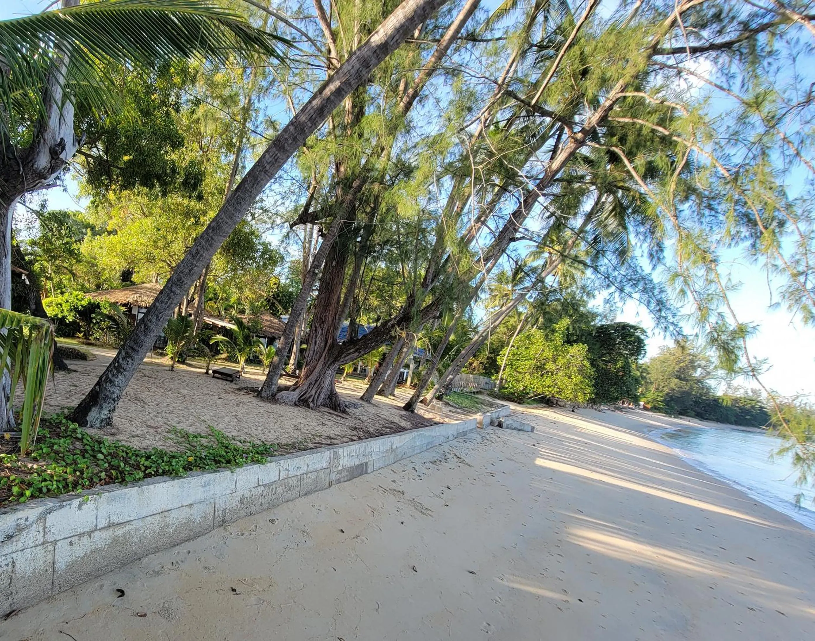 Natural landscape in Satva Samui Yoga and Wellness Resort
