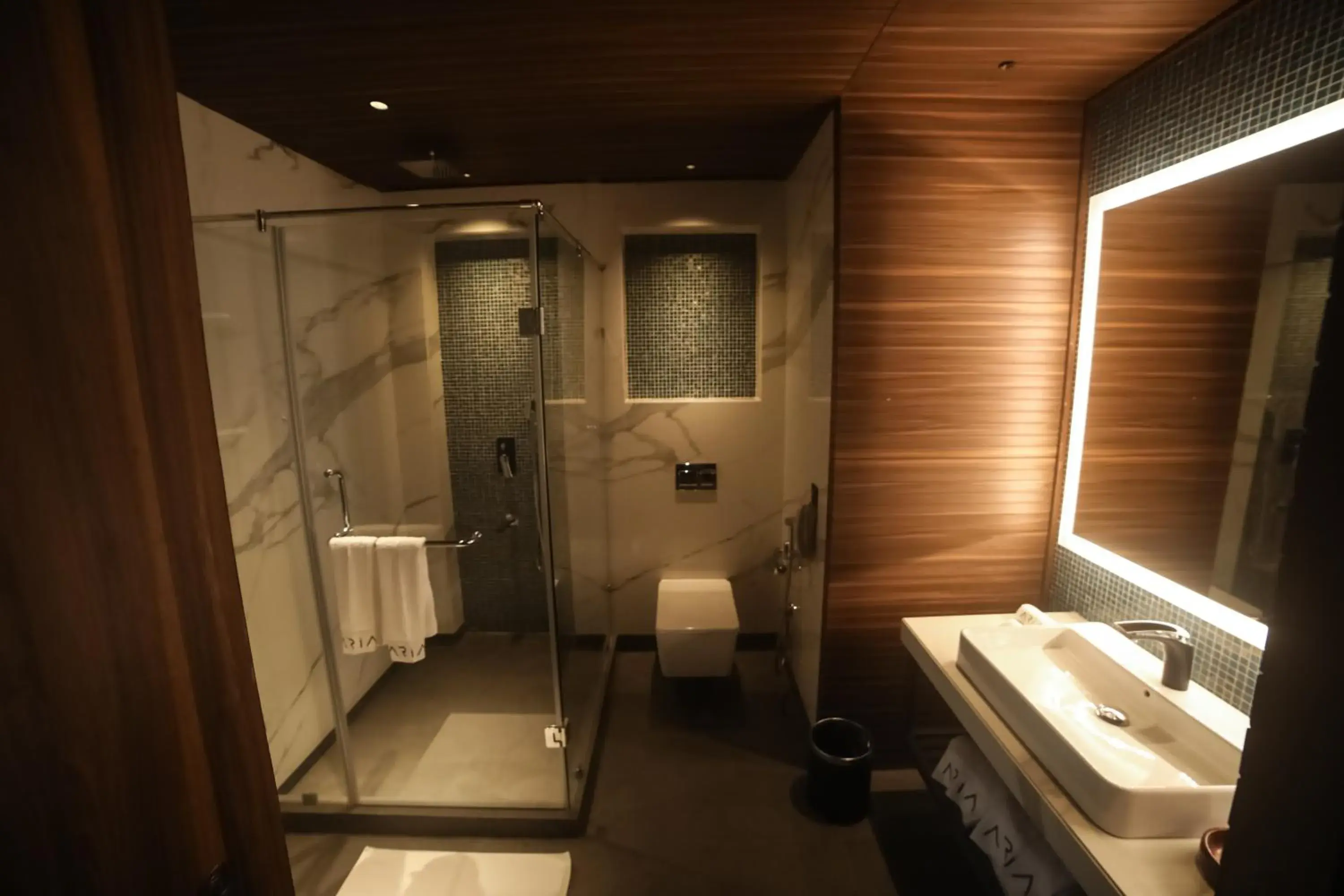 Shower in Aria Resort & Spa Shower in Aria Resort & Spa