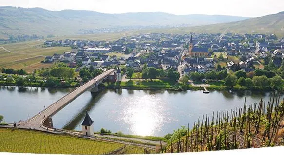 Natural landscape in Galerie Riesling