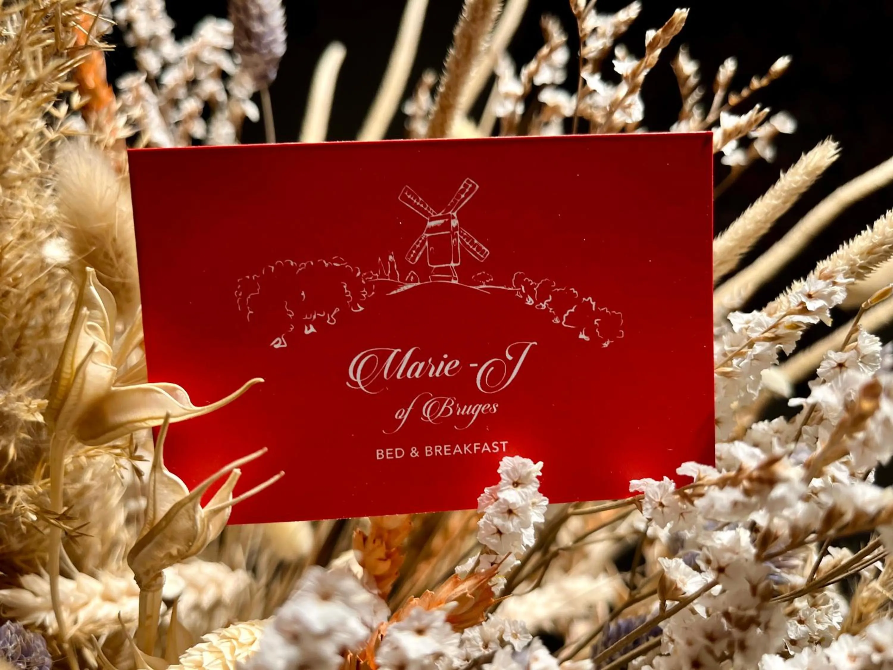 B&B Marie-J of Bruges
