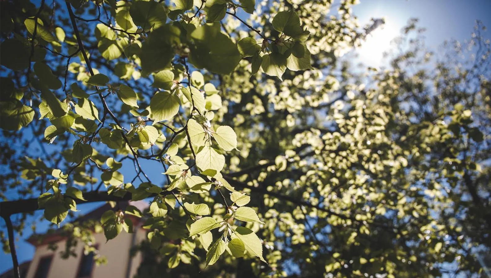 Spring in Hotel Gerbermühle