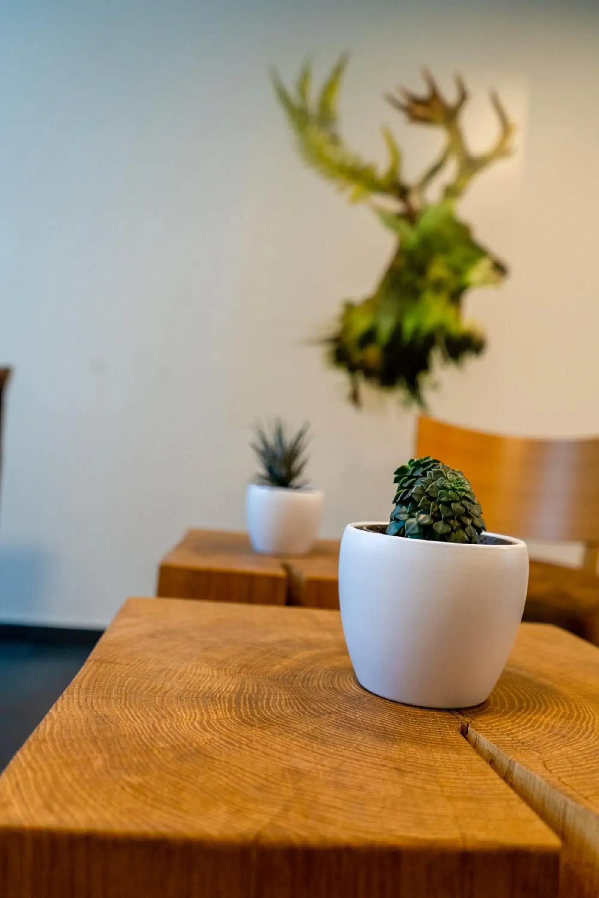 Property building in Hotel FÜNF10 Property building in Hotel FÜNF10