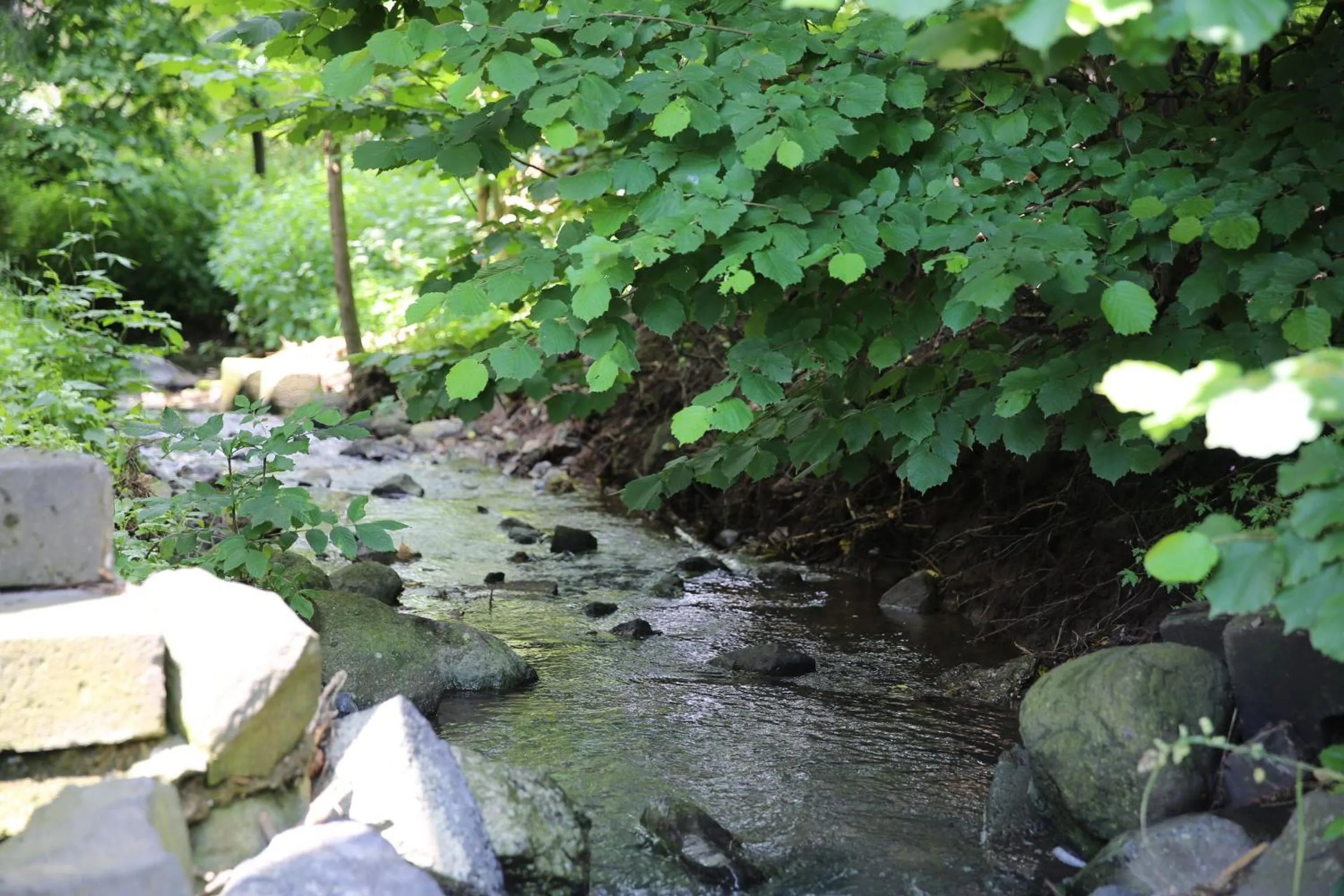 Natural landscape in Landhotel Villa Moritz garni