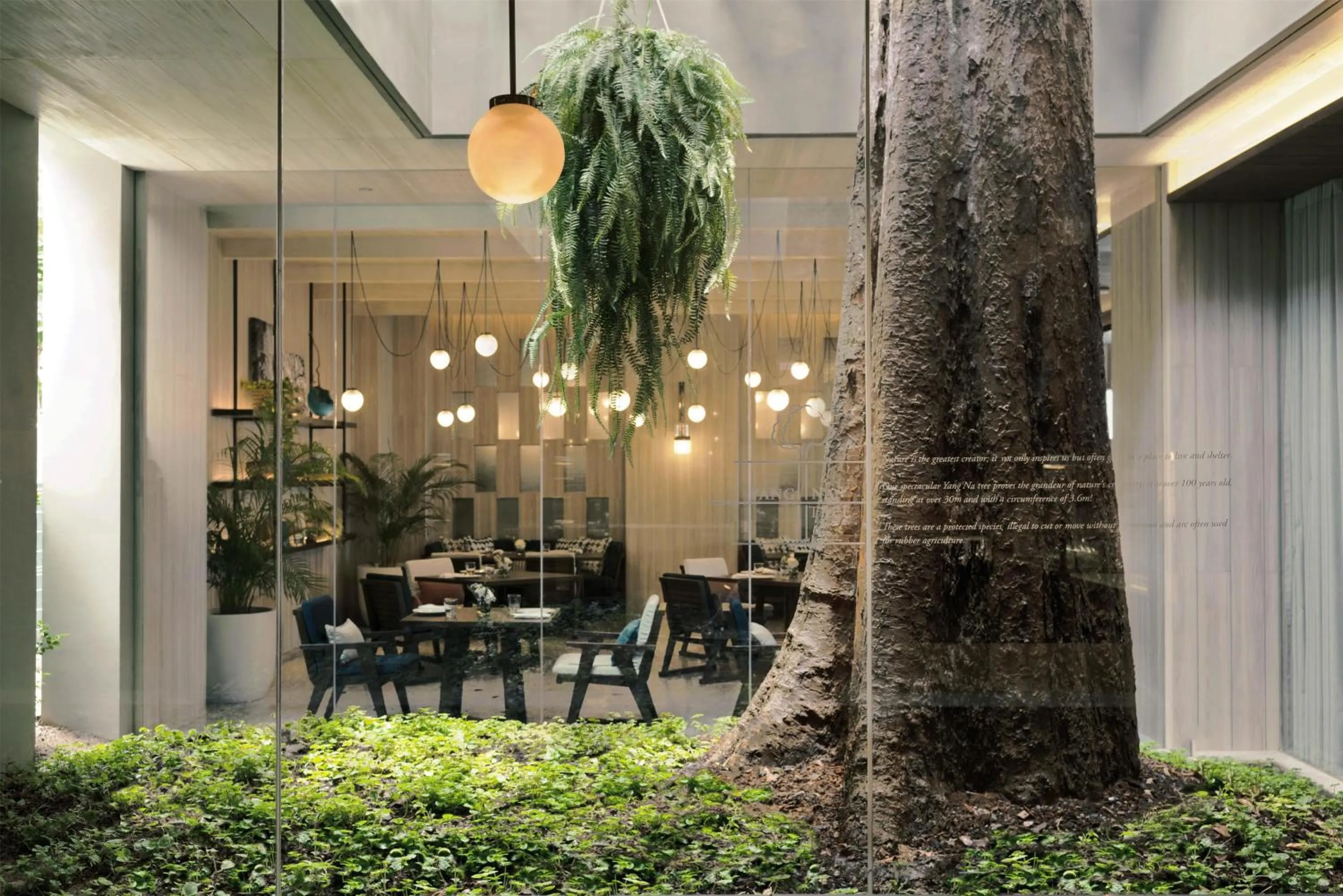 Restaurant/places to eat in Hyatt Regency Koh Samui