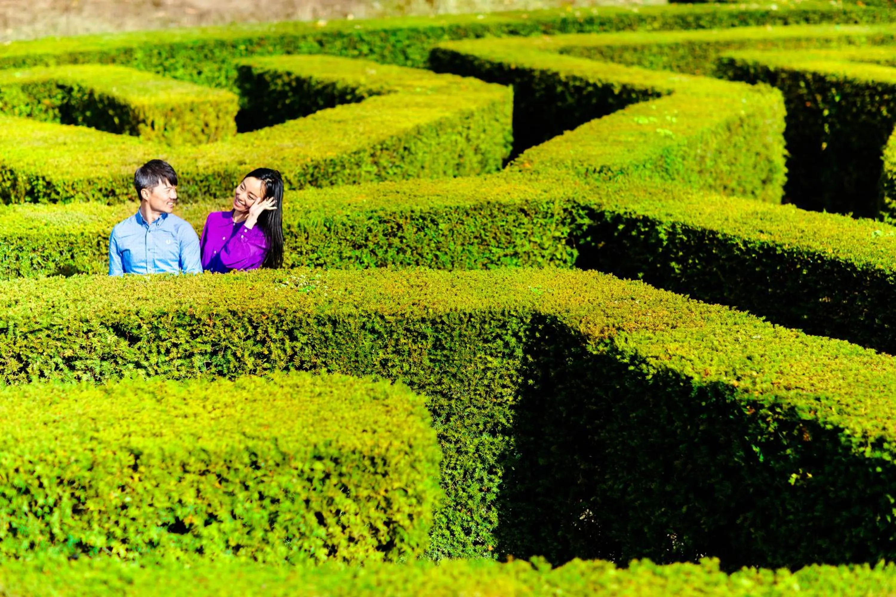 Garden in Leeds Castle Maiden's Tower