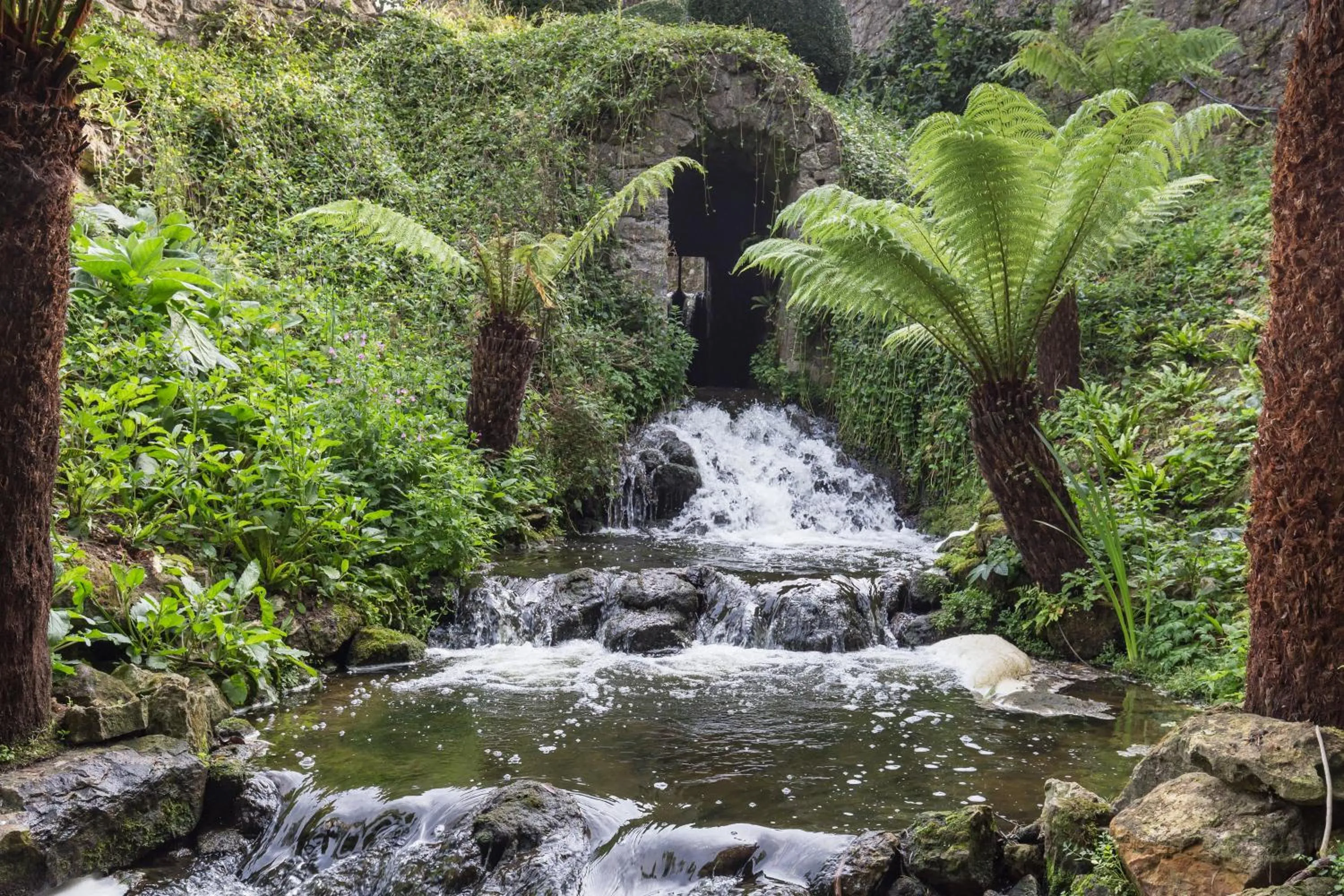 Natural landscape in Leeds Castle Maiden's Tower