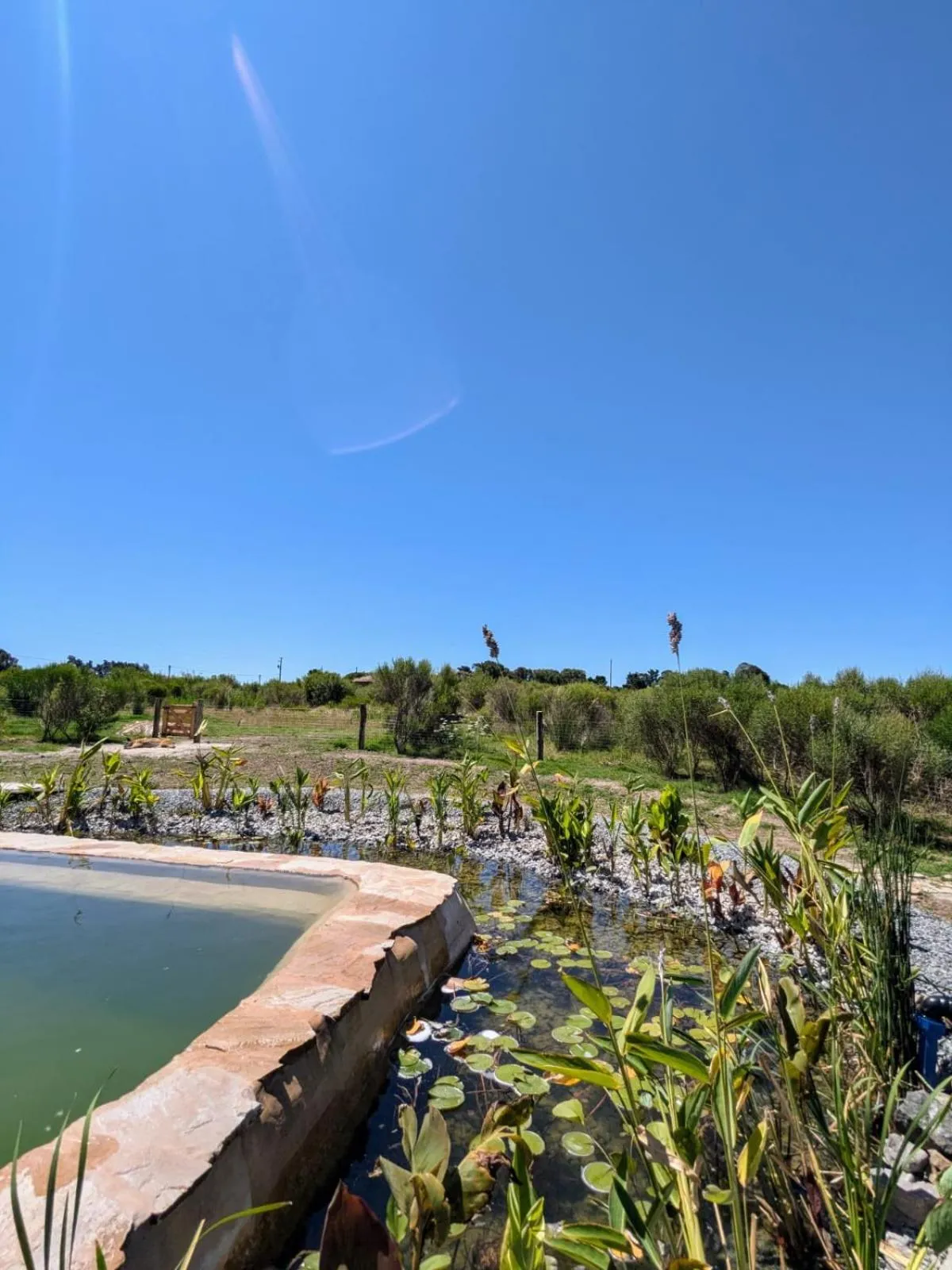 Swimming pool in Caliu Earthship Ecolodge