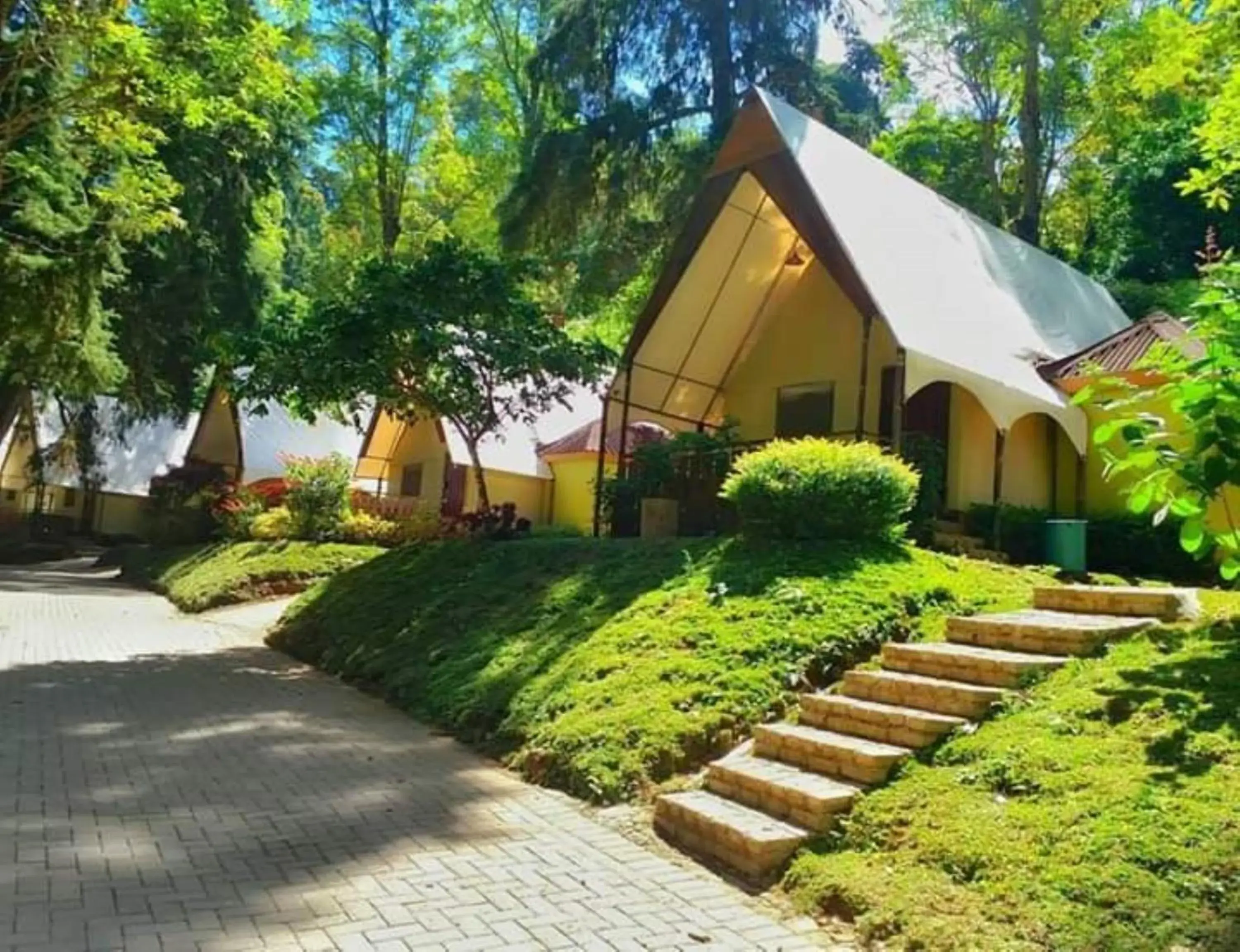 Lawu Forest Camp Lawu Forest Camp