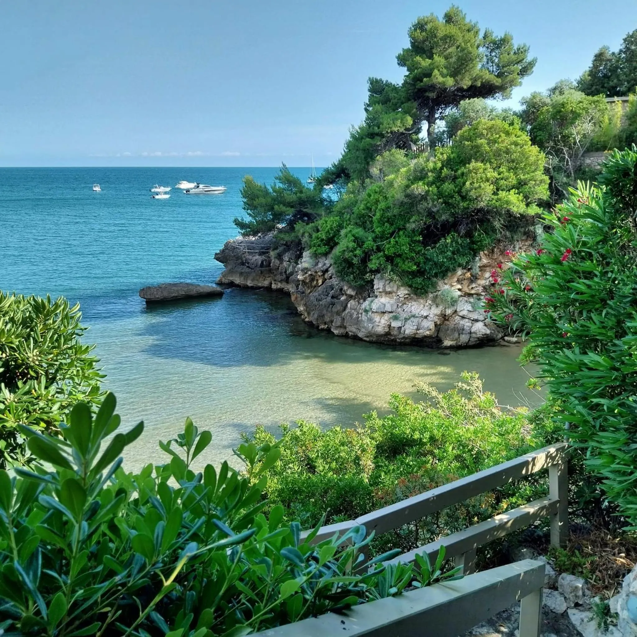 Chiaror di Mare
