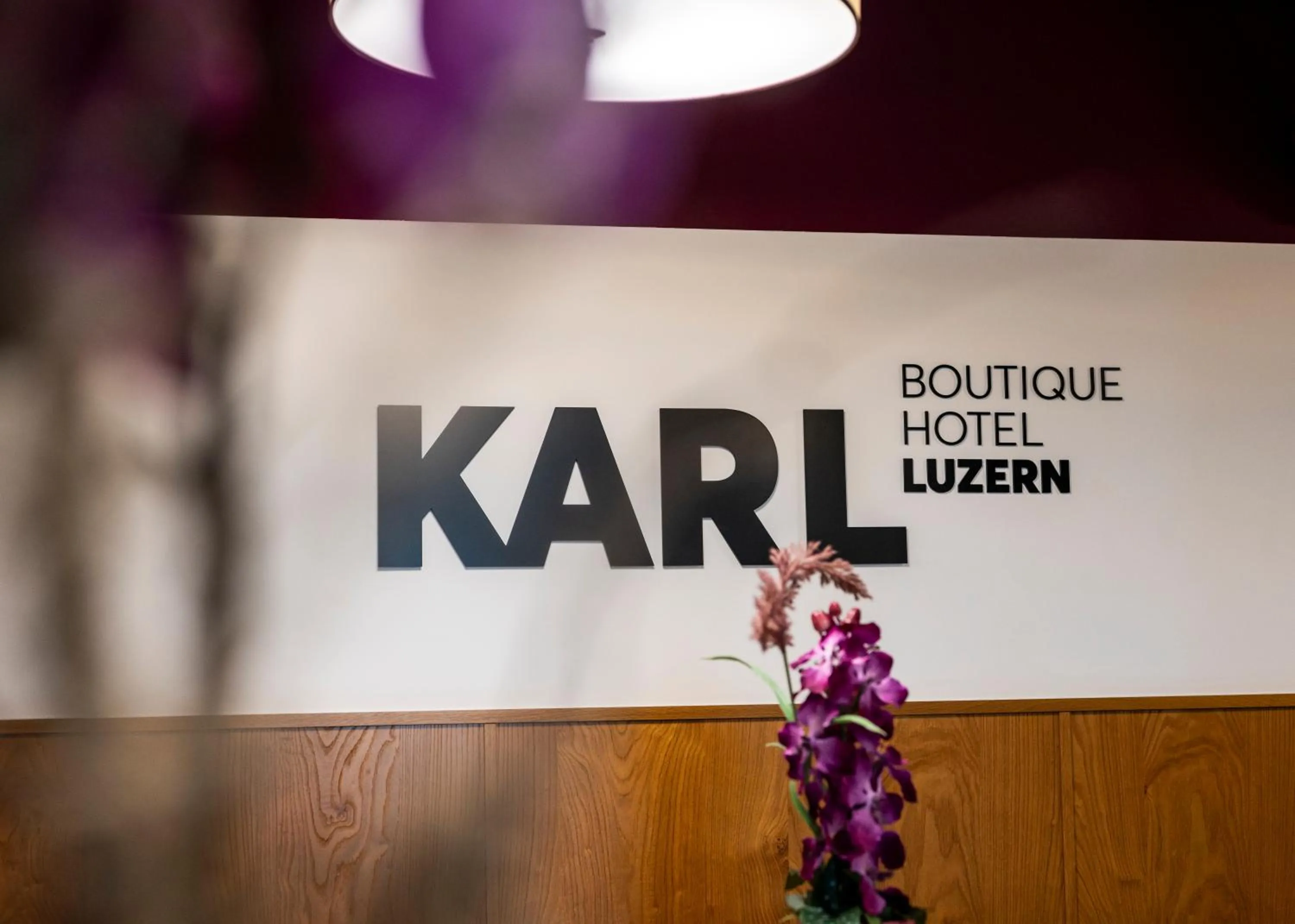 Communal lounge/ TV room in Boutique Hotel KARL