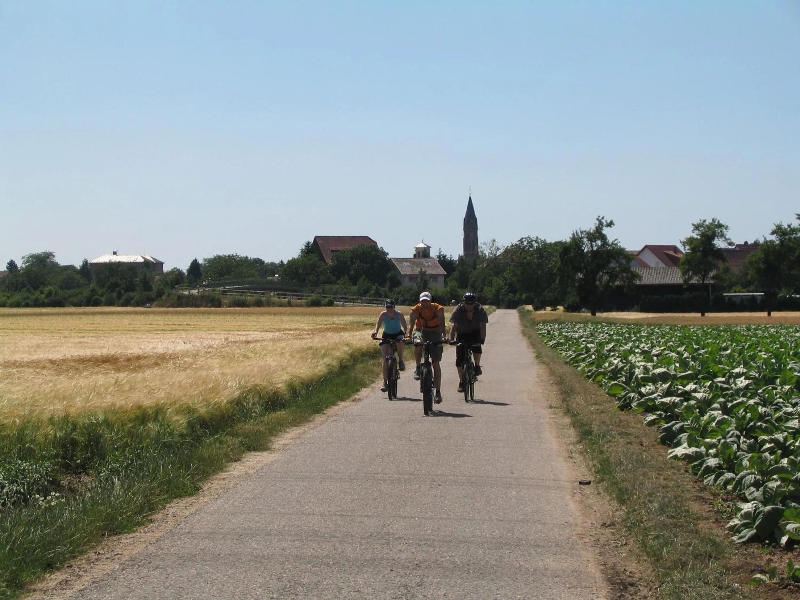 Other in Neu Heidelberg - Guesthouse & Apartments