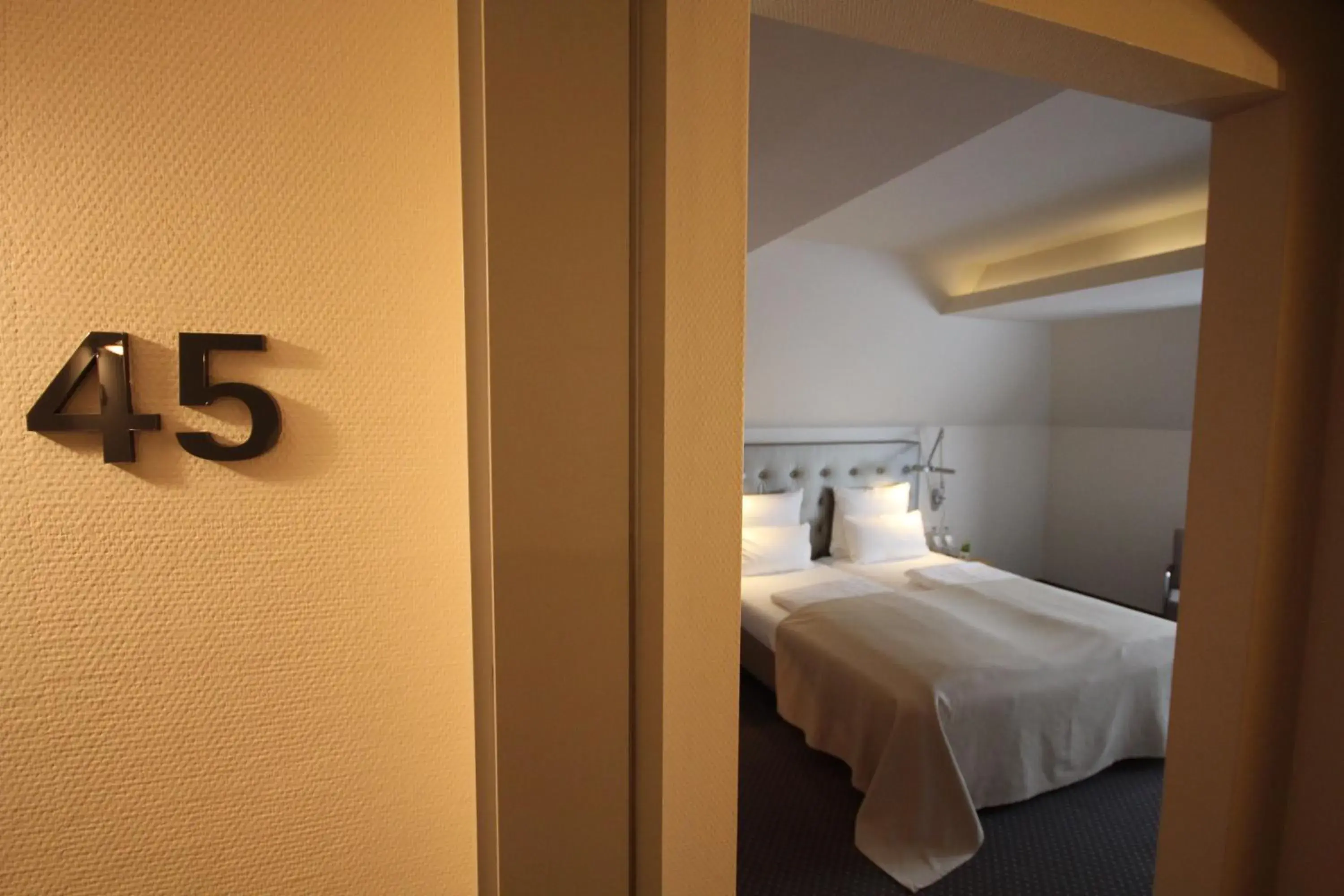 Business Double Room in Hotel Maximilians Business Double Room in Hotel Maximilians