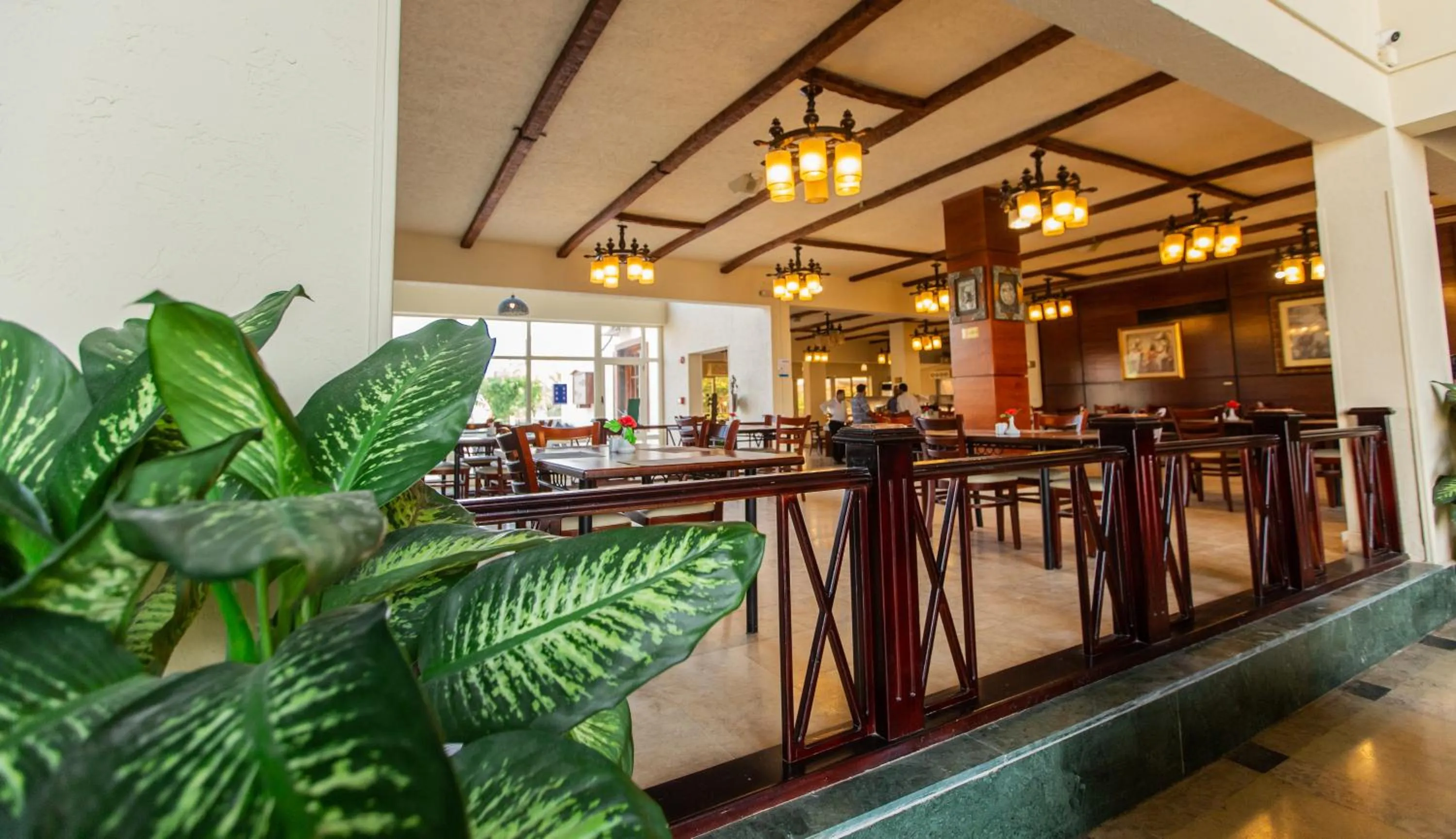 Restaurant/places to eat in Marina Wadi Degla Hotel