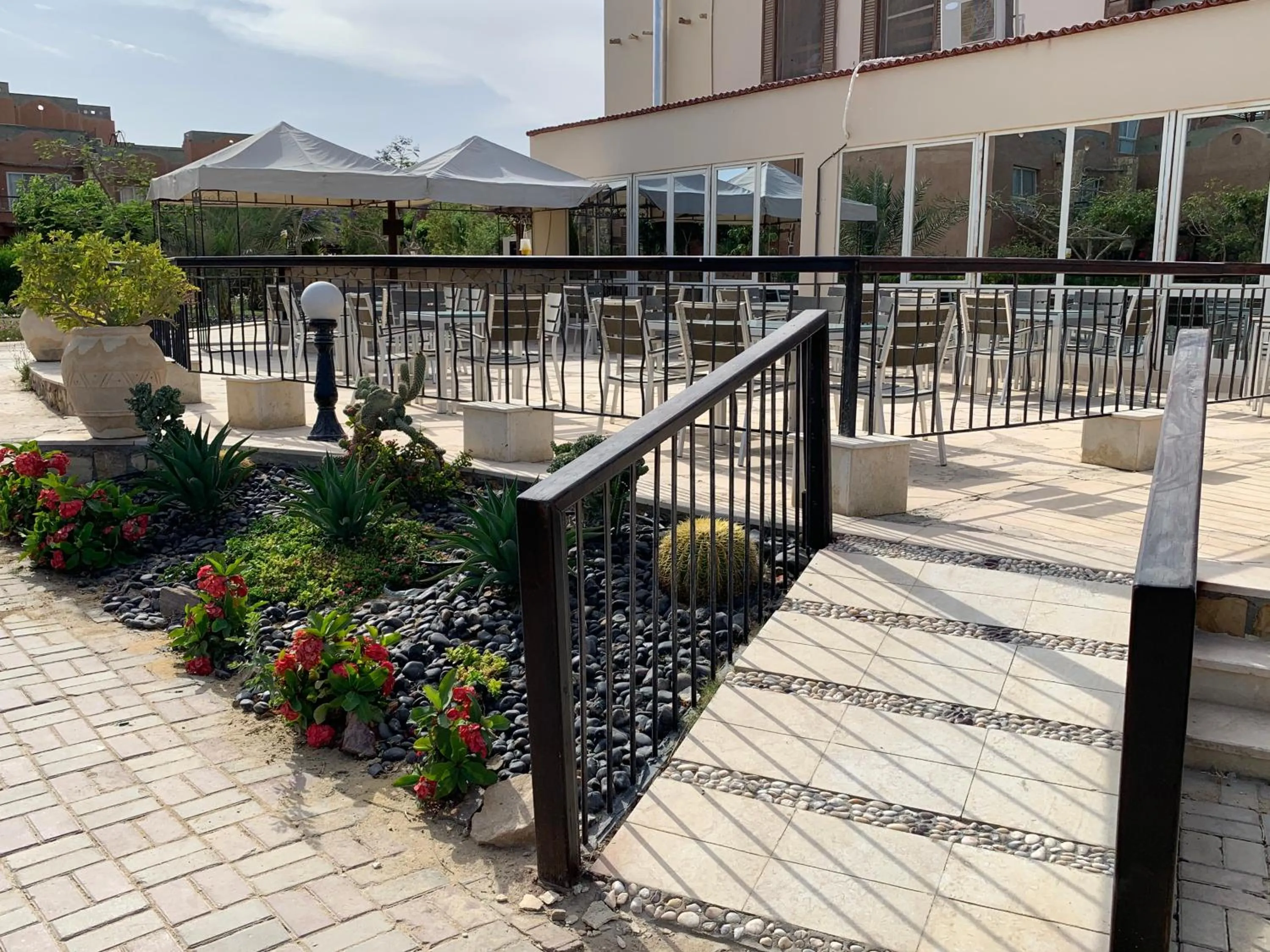 Restaurant/places to eat in Marina Wadi Degla Hotel