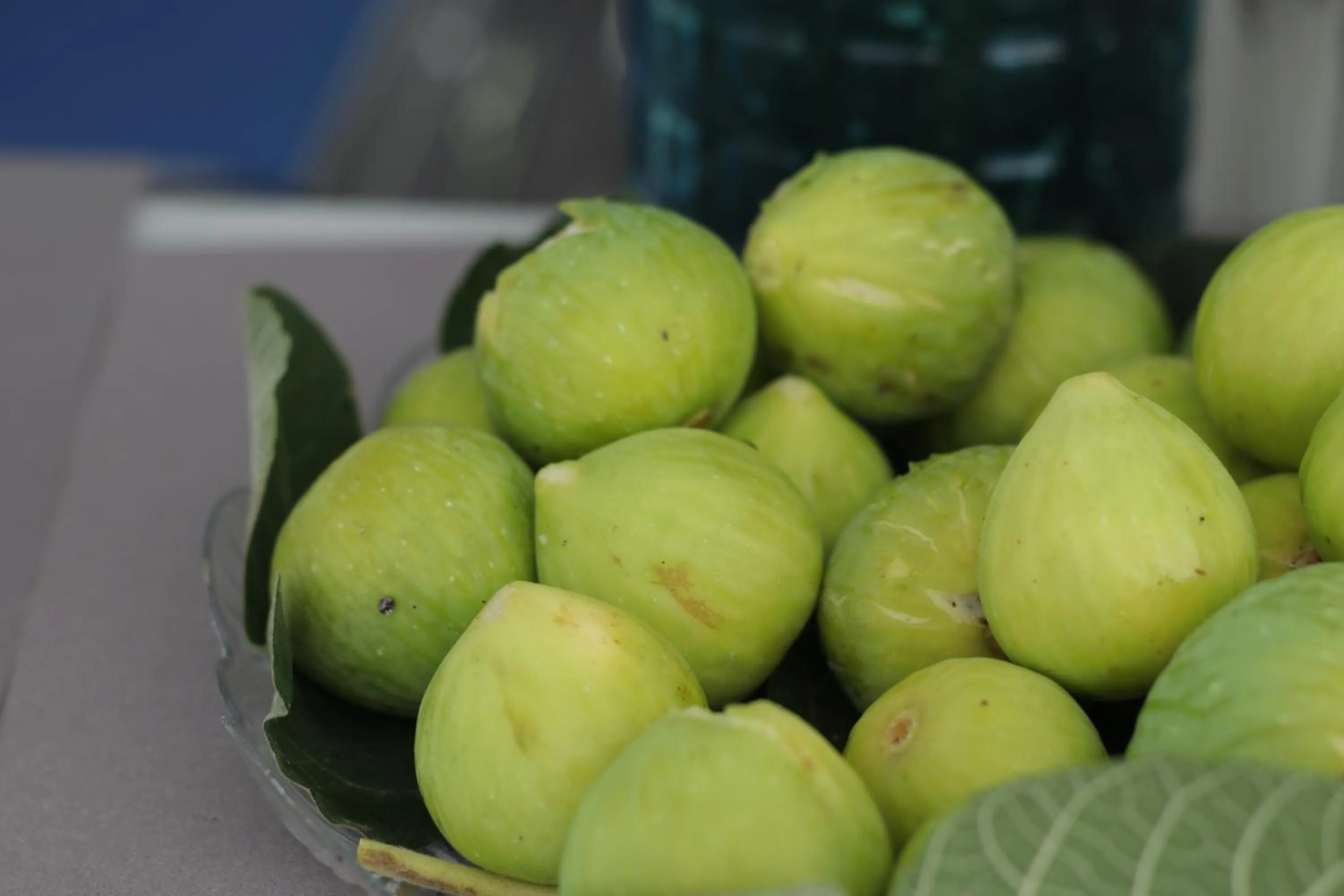 Breakfast in SALAPIA SALIS RESORT