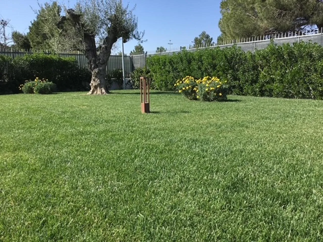 Garden view in SALAPIA SALIS RESORT