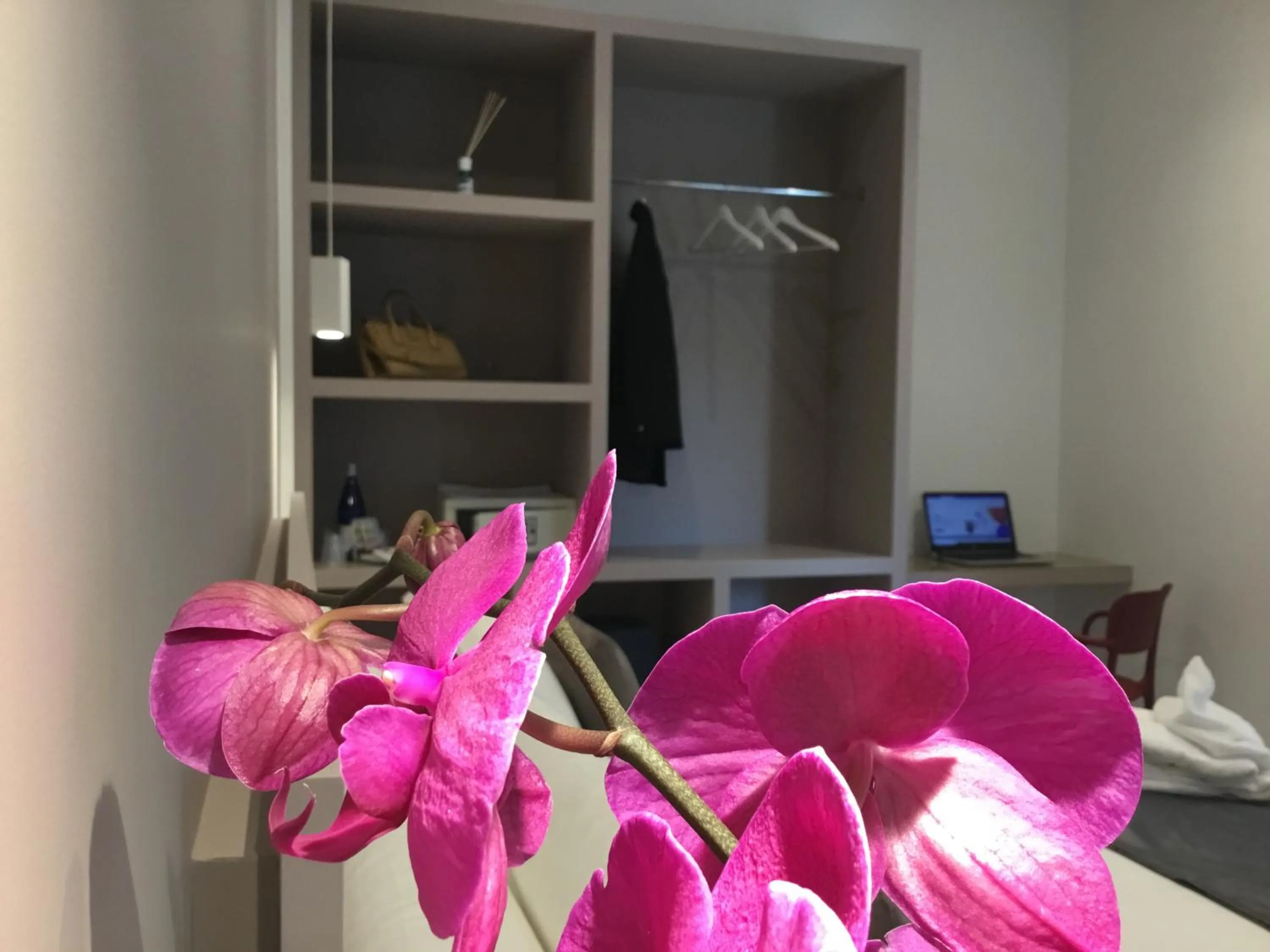 Living room, Bed in SALAPIA SALIS RESORT