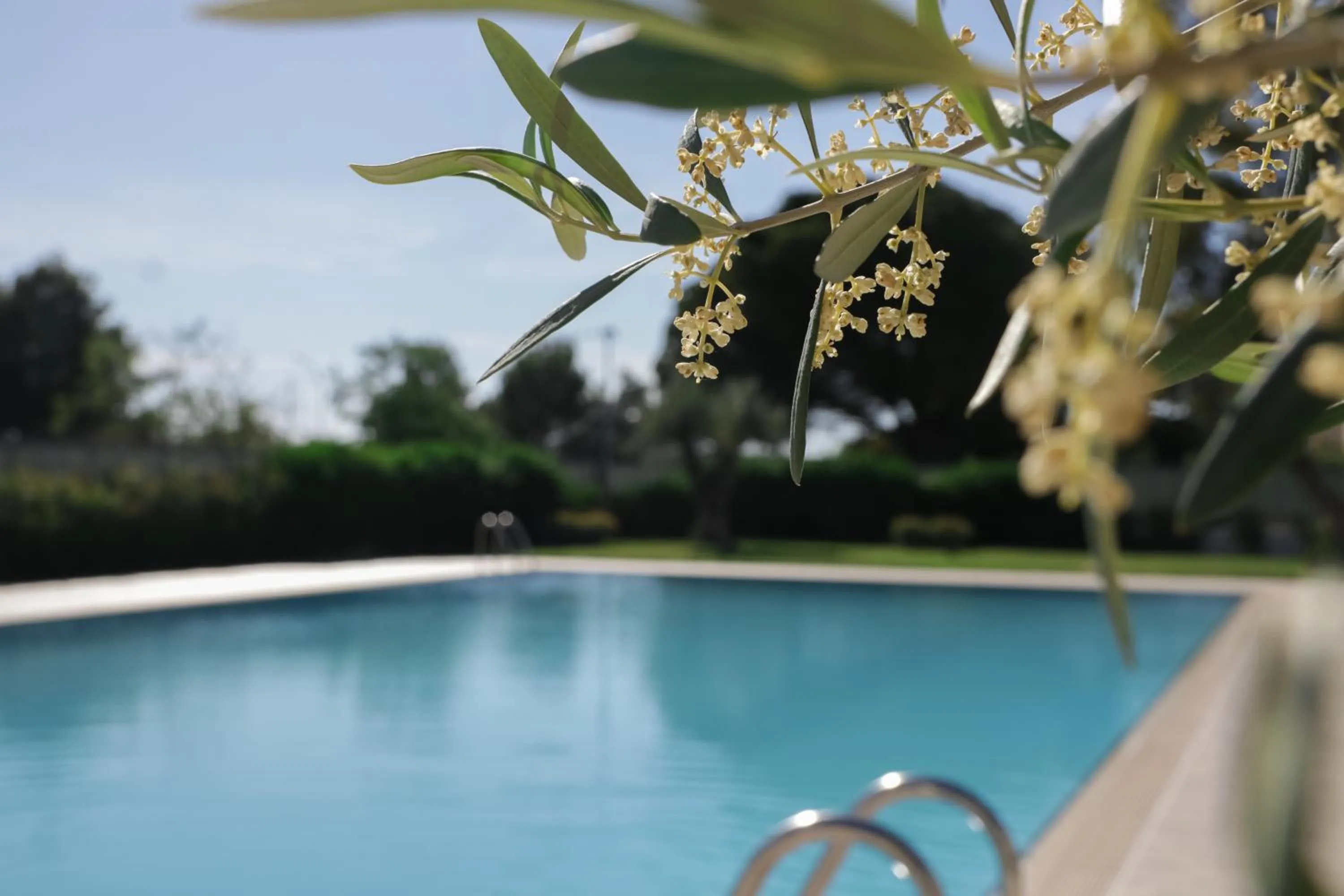 Swimming pool in SALAPIA SALIS RESORT