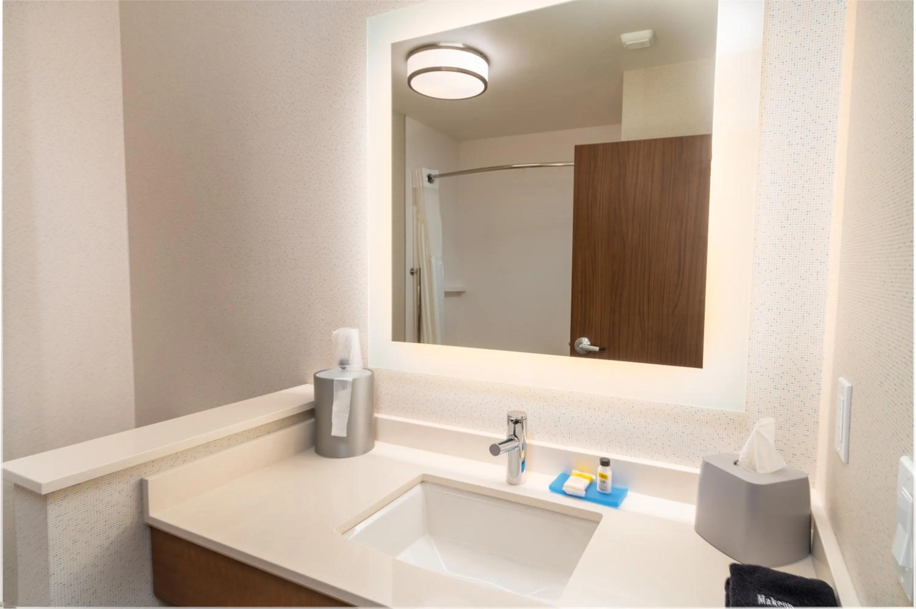 Bathroom in Holiday Inn Express & Suites - Las Vegas - E Tropicana by IHG