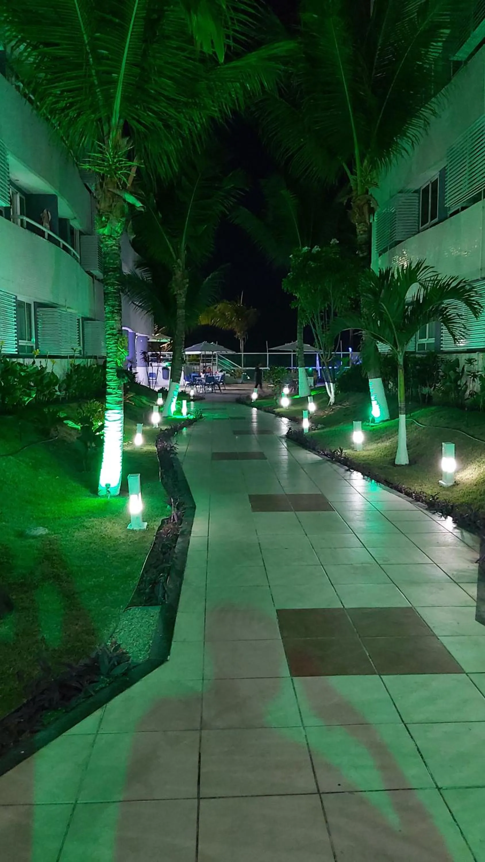 Garden in Ponta Negra Beach Flat Prime