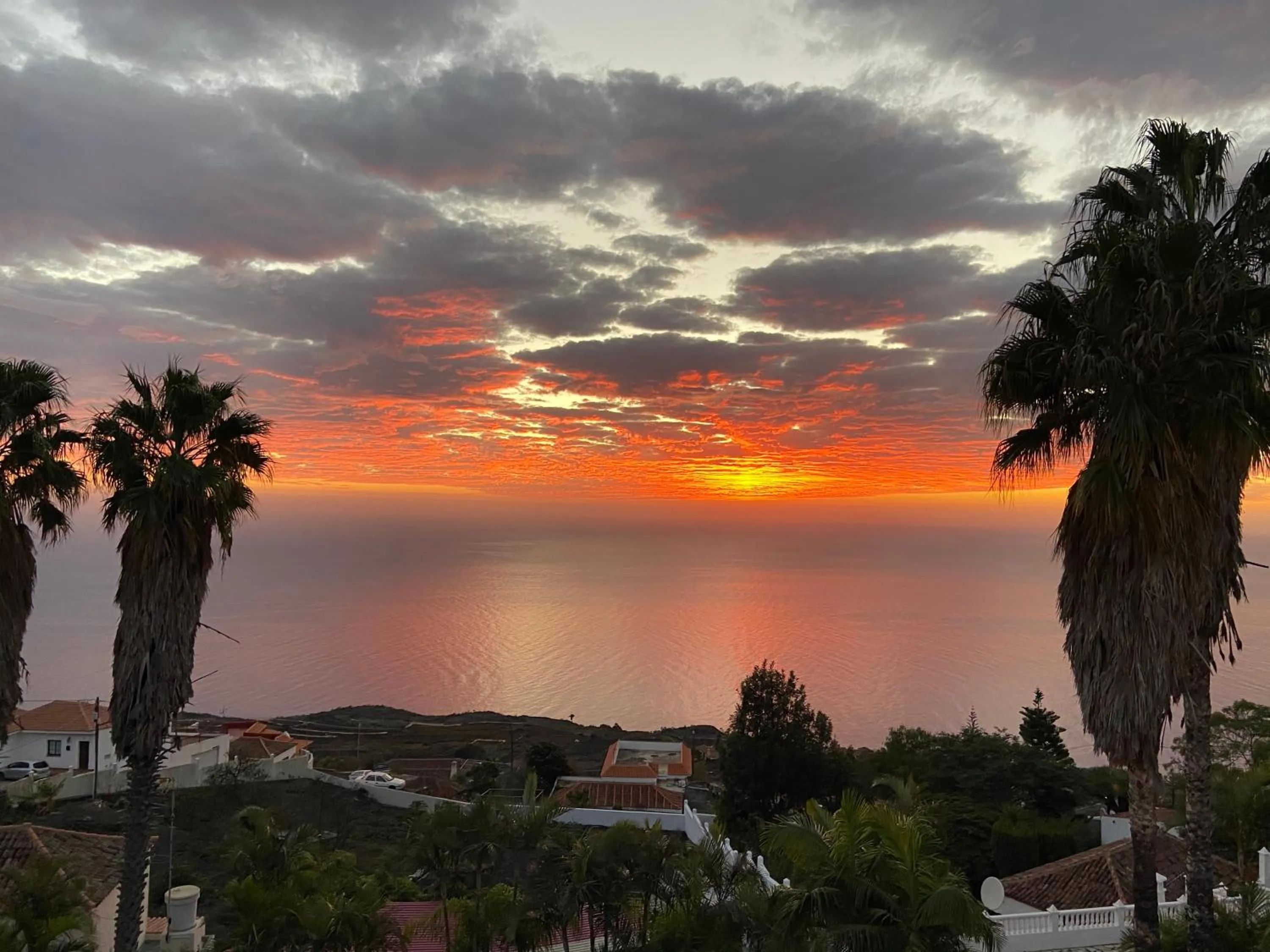 Apartamentos colon y bungalows