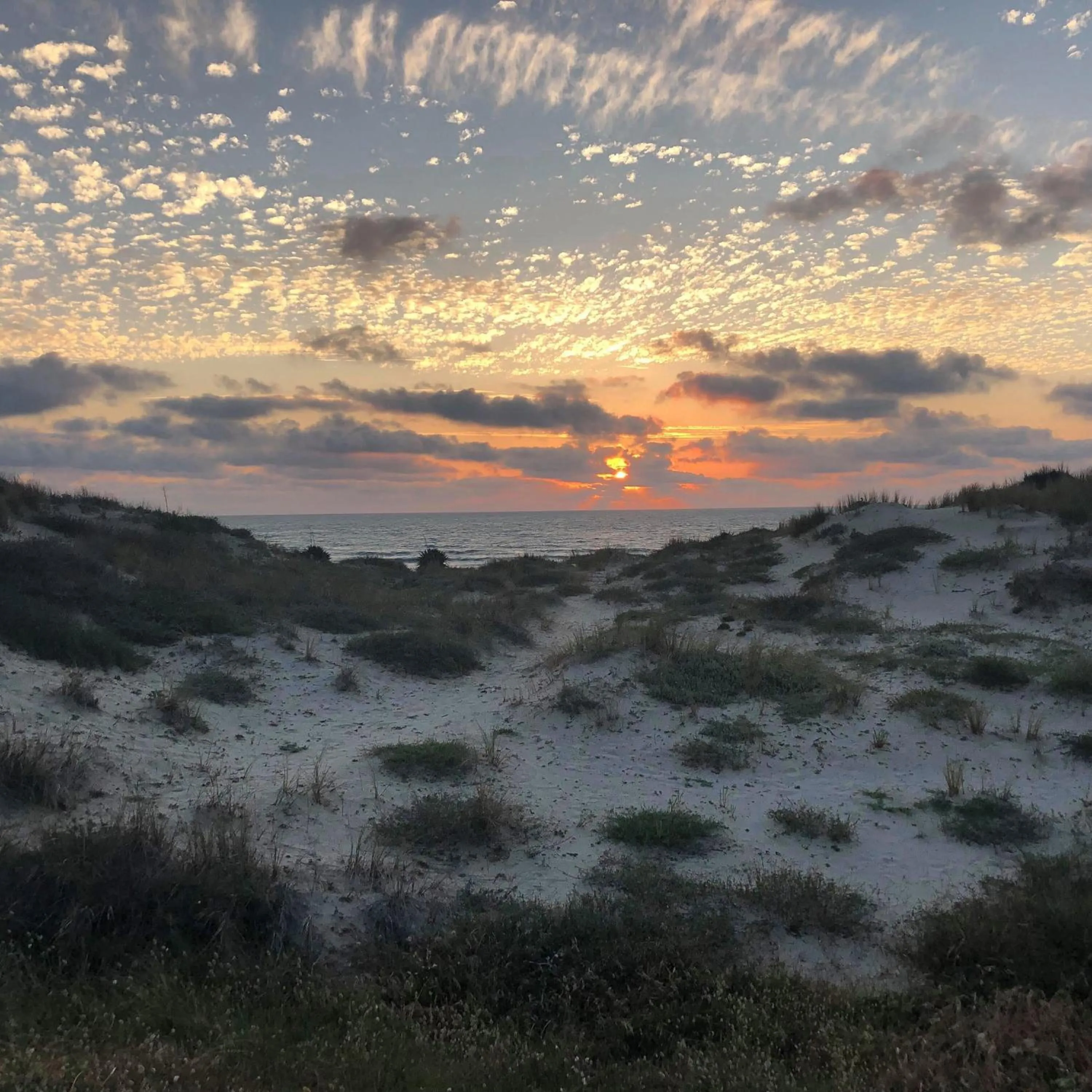 Spring in Chambres d'Hôtes d'Aliénor