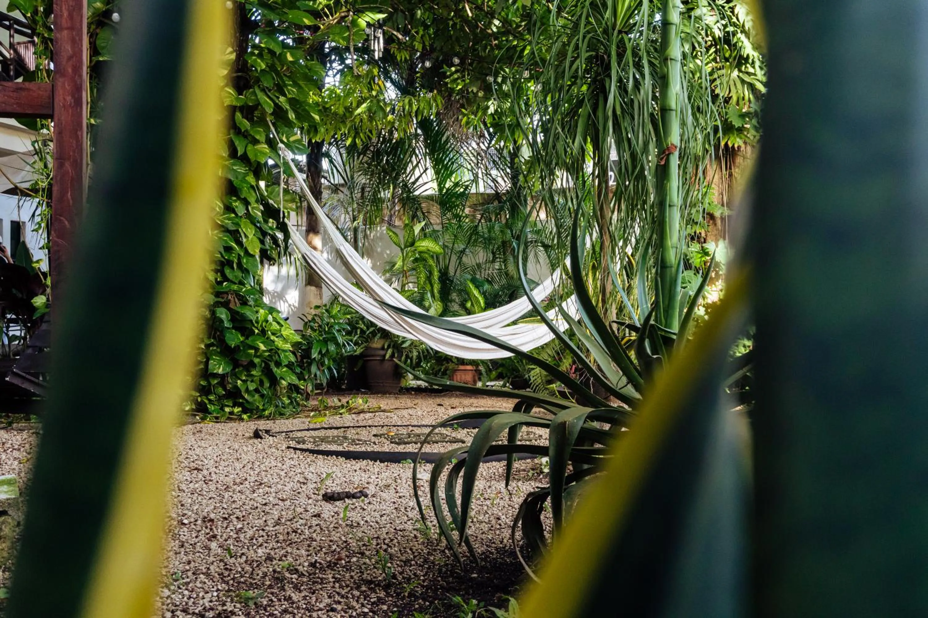 Garden view in Hotel Brisas Bacalar