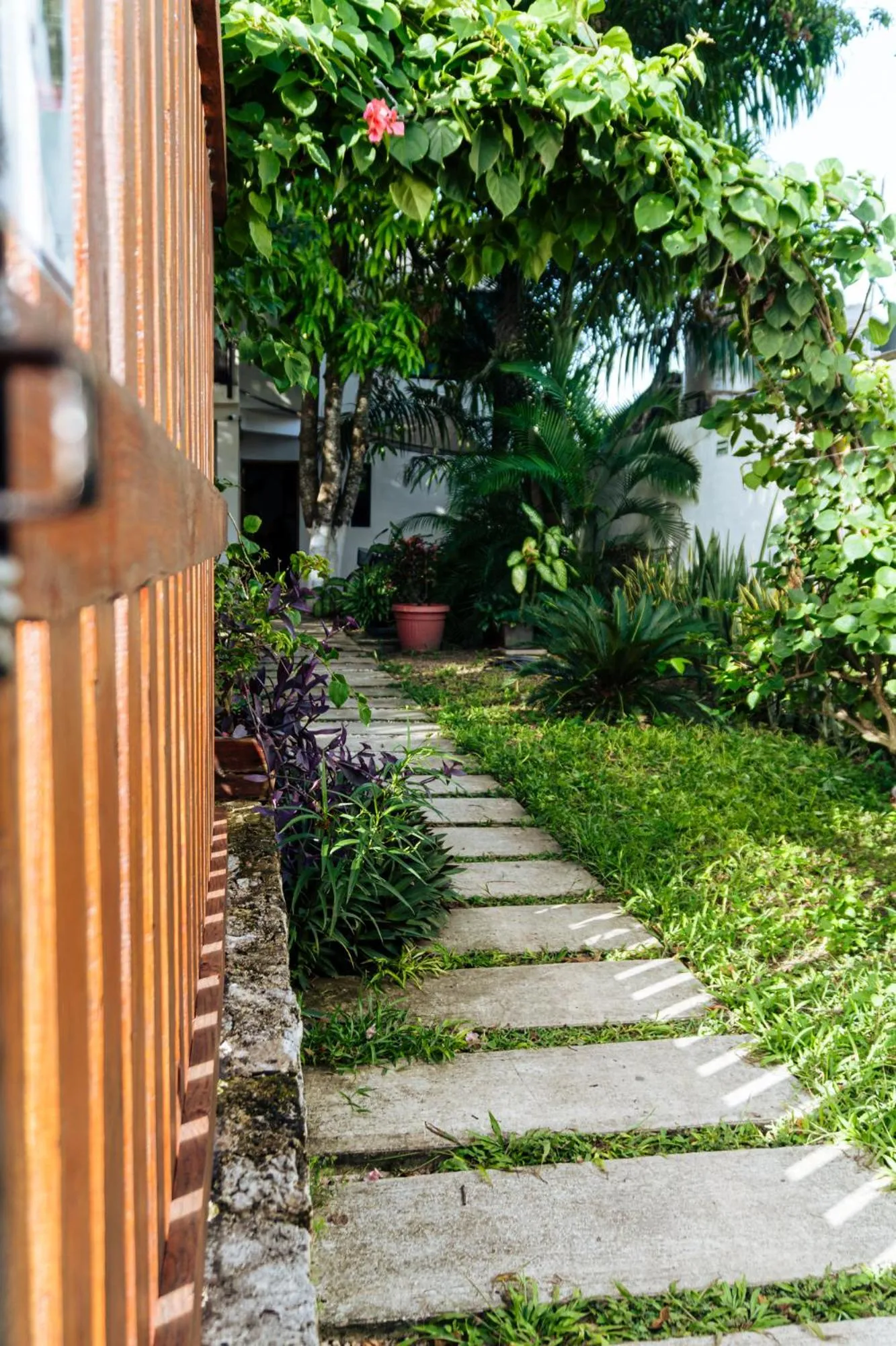 Garden in Hotel Brisas Bacalar