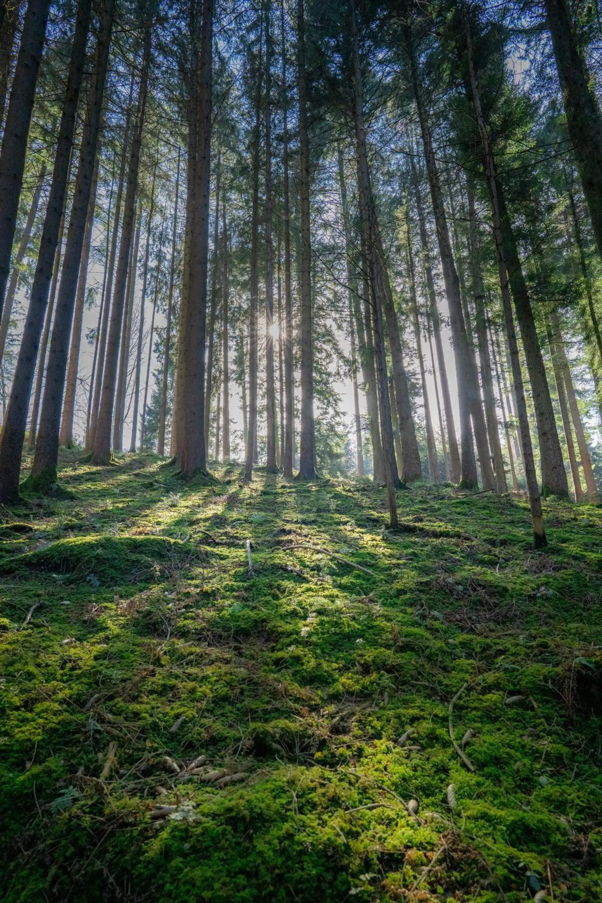 Nearby landmark in Hilton Garden Inn Munich Messe