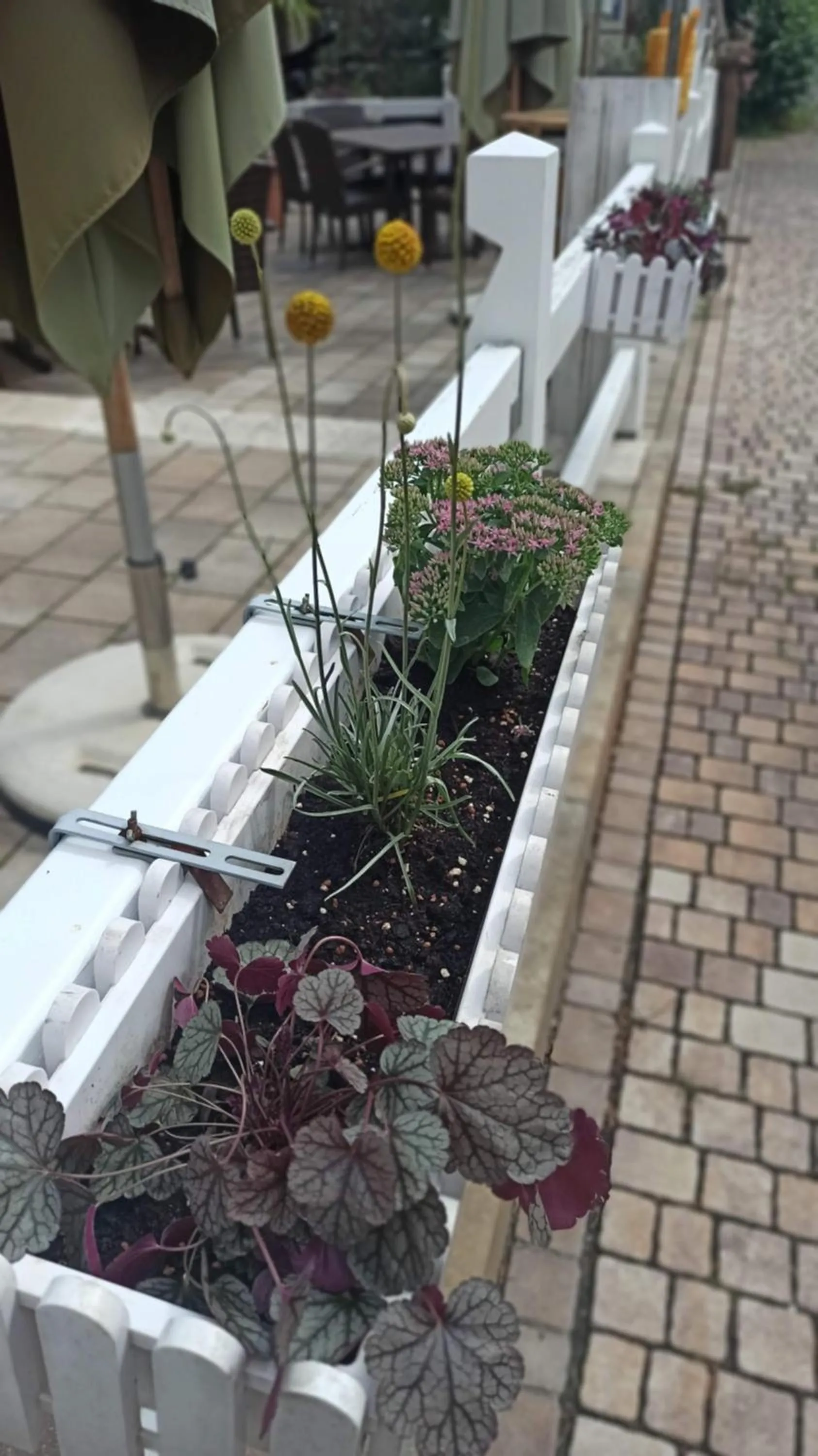 Restaurant/places to eat in Hotel Speeter