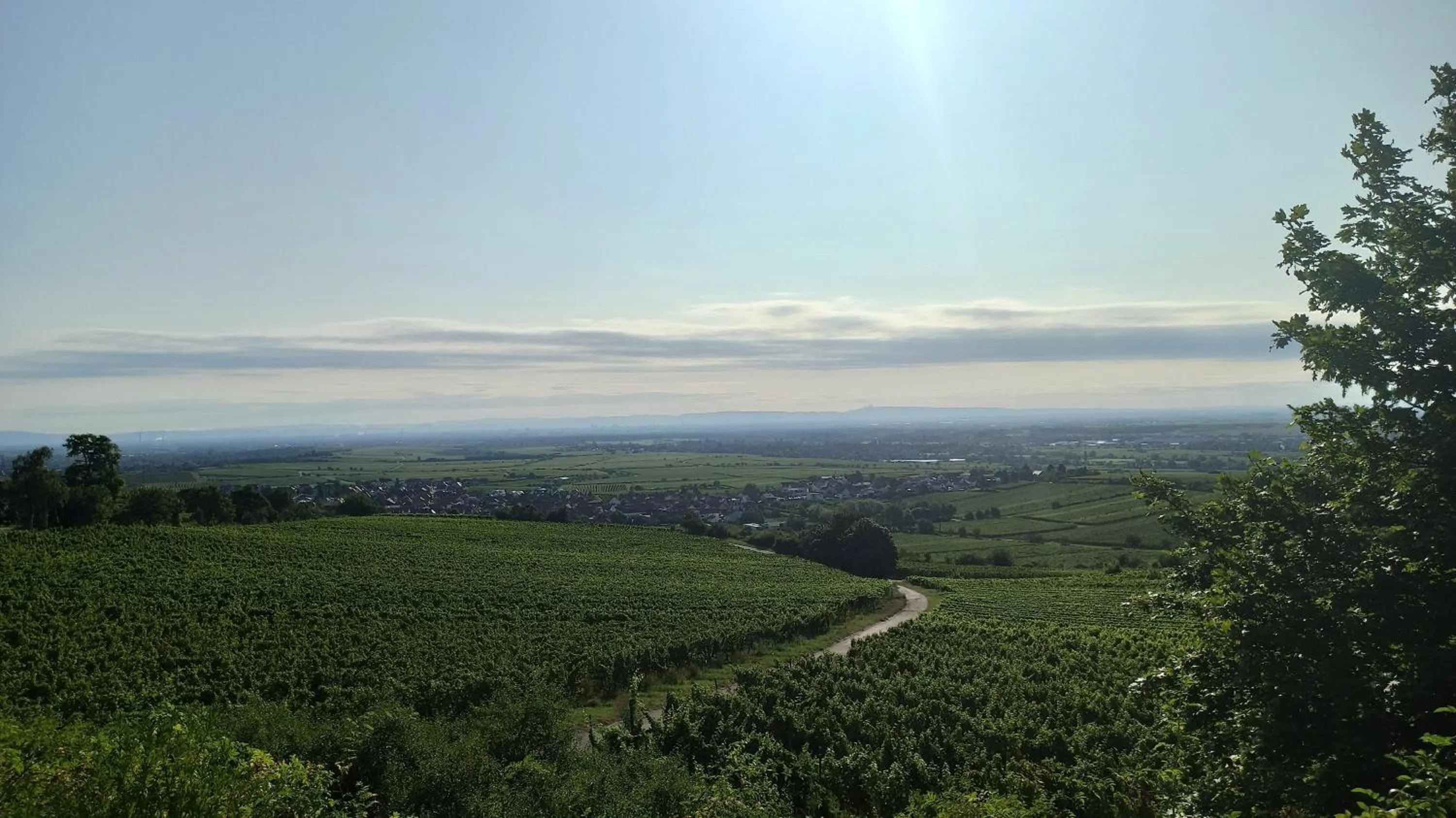 Natural landscape in Hotel Speeter