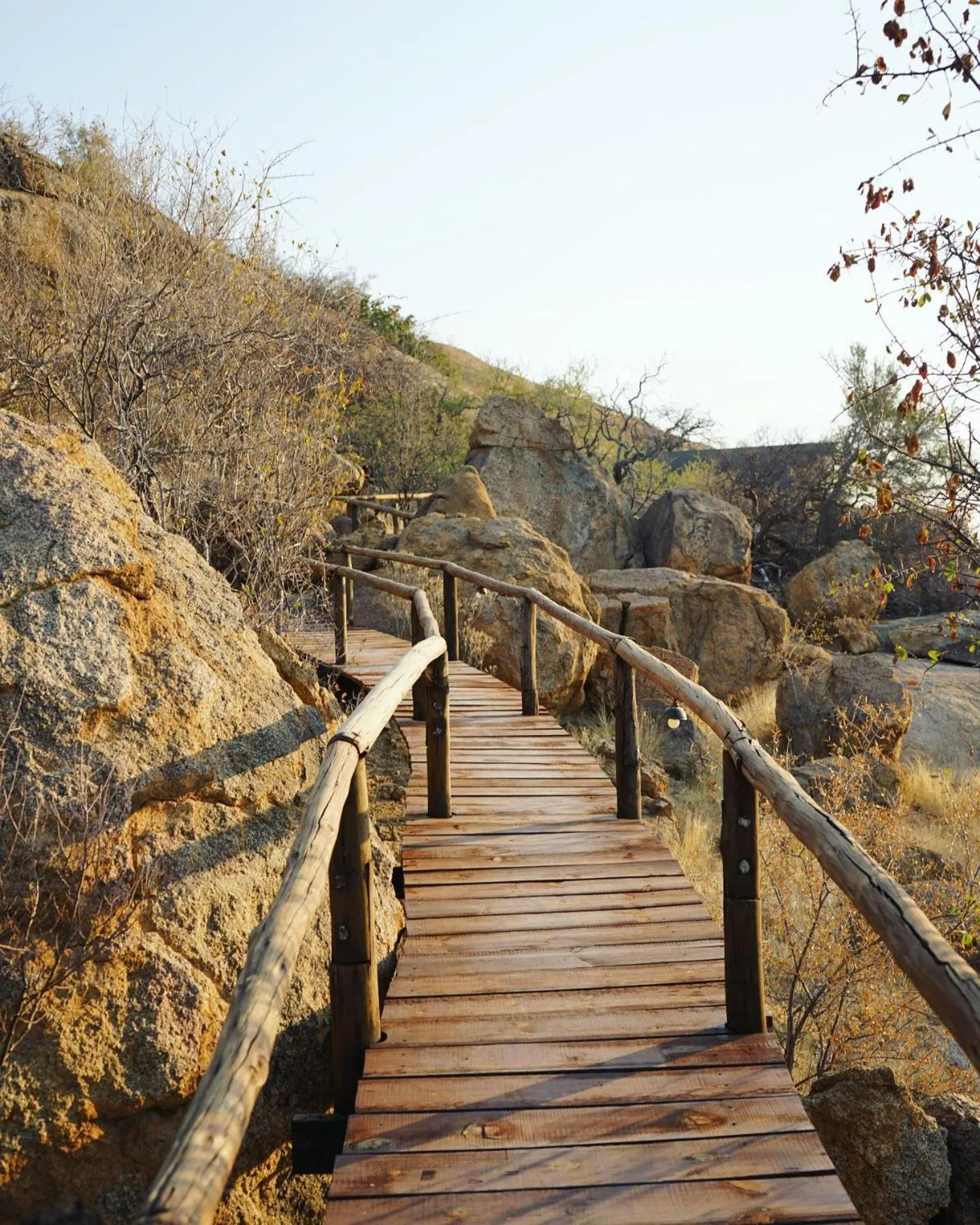 Property building in Ondudu Safari Lodge