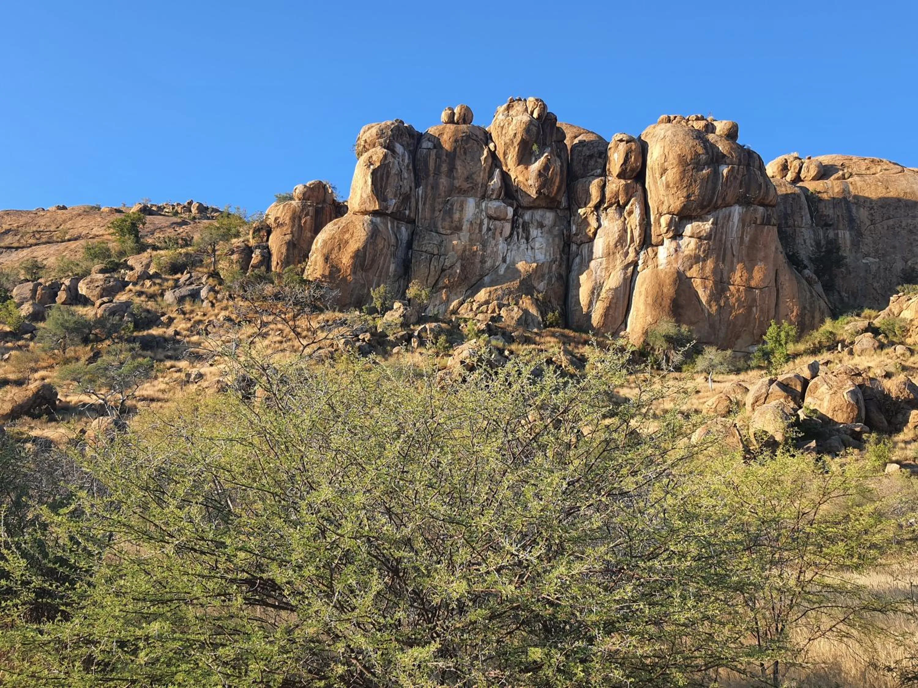 Natural landscape in Ondudu Safari Lodge