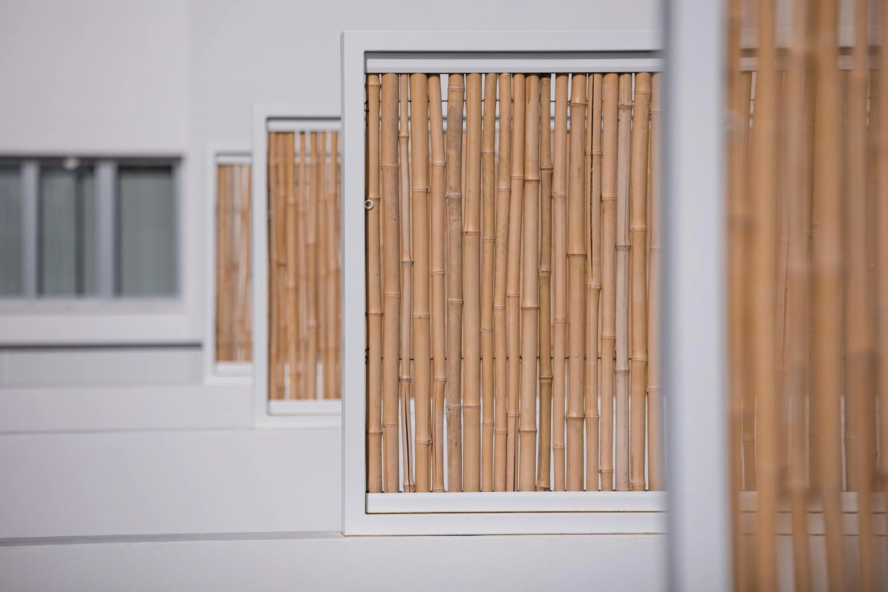 Property building in Petit Sagitario Adults only