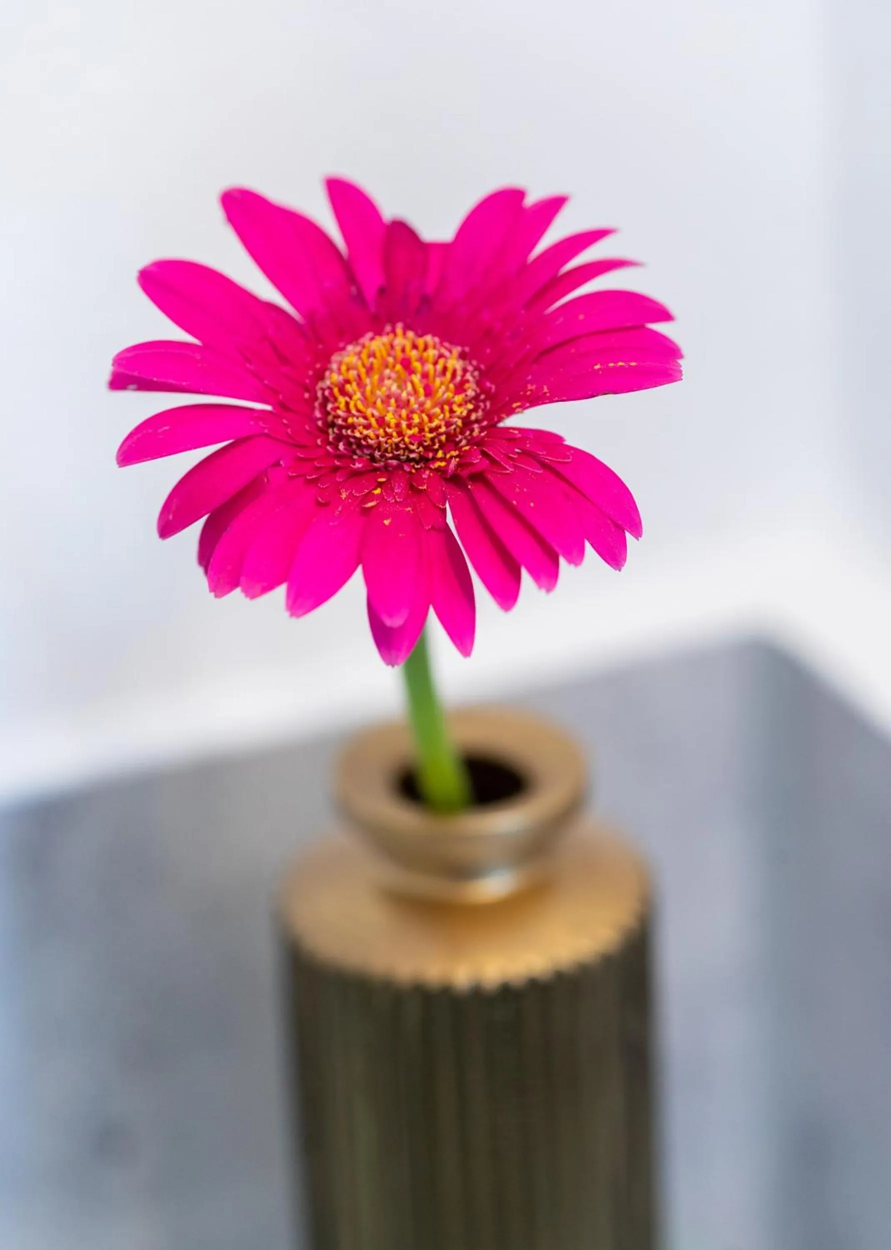 Hotel Clement - Bed & Breakfast