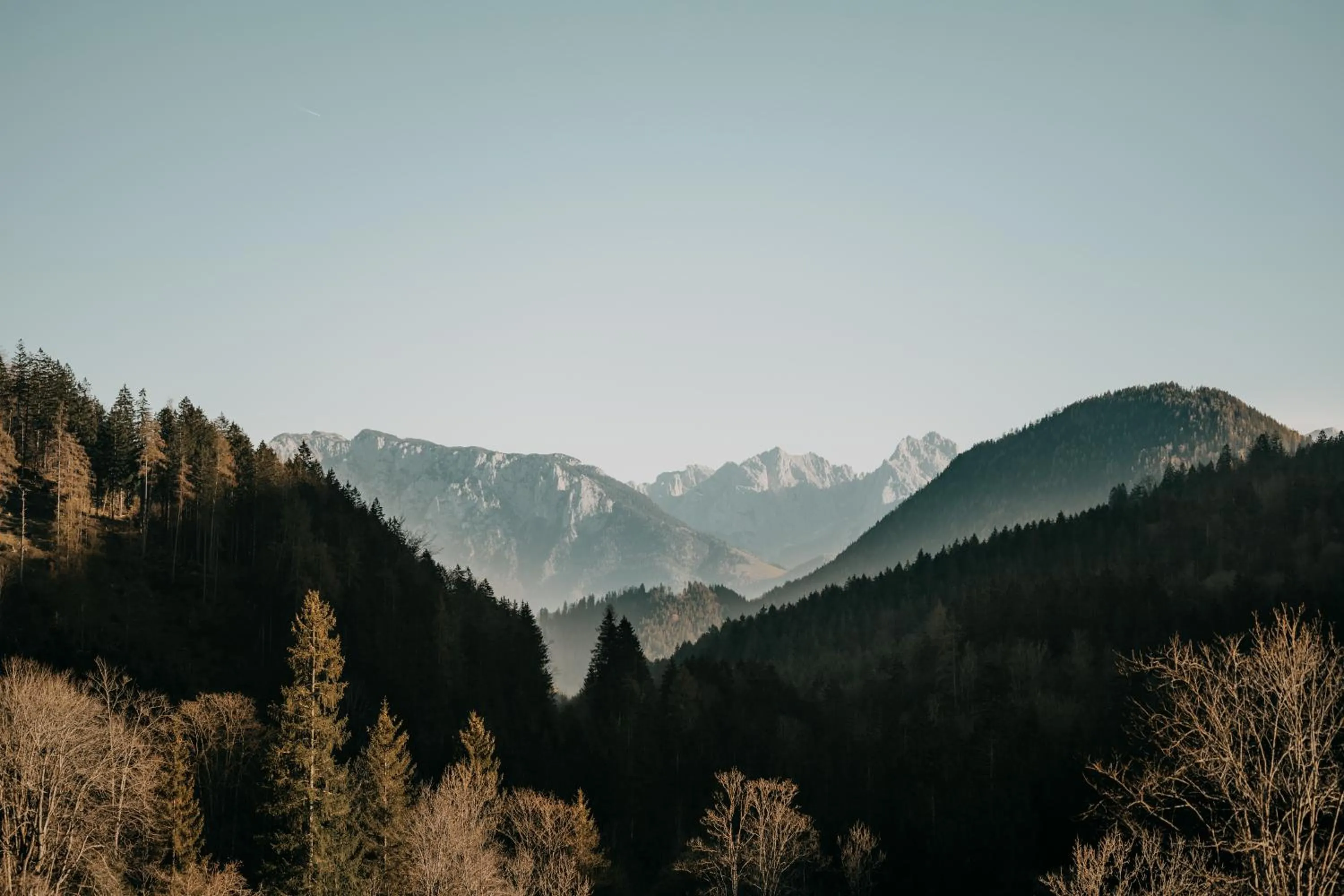 View (from property/room) in Feuriger Tatzlwurm Berghotel & Spa, BW Signature Collection