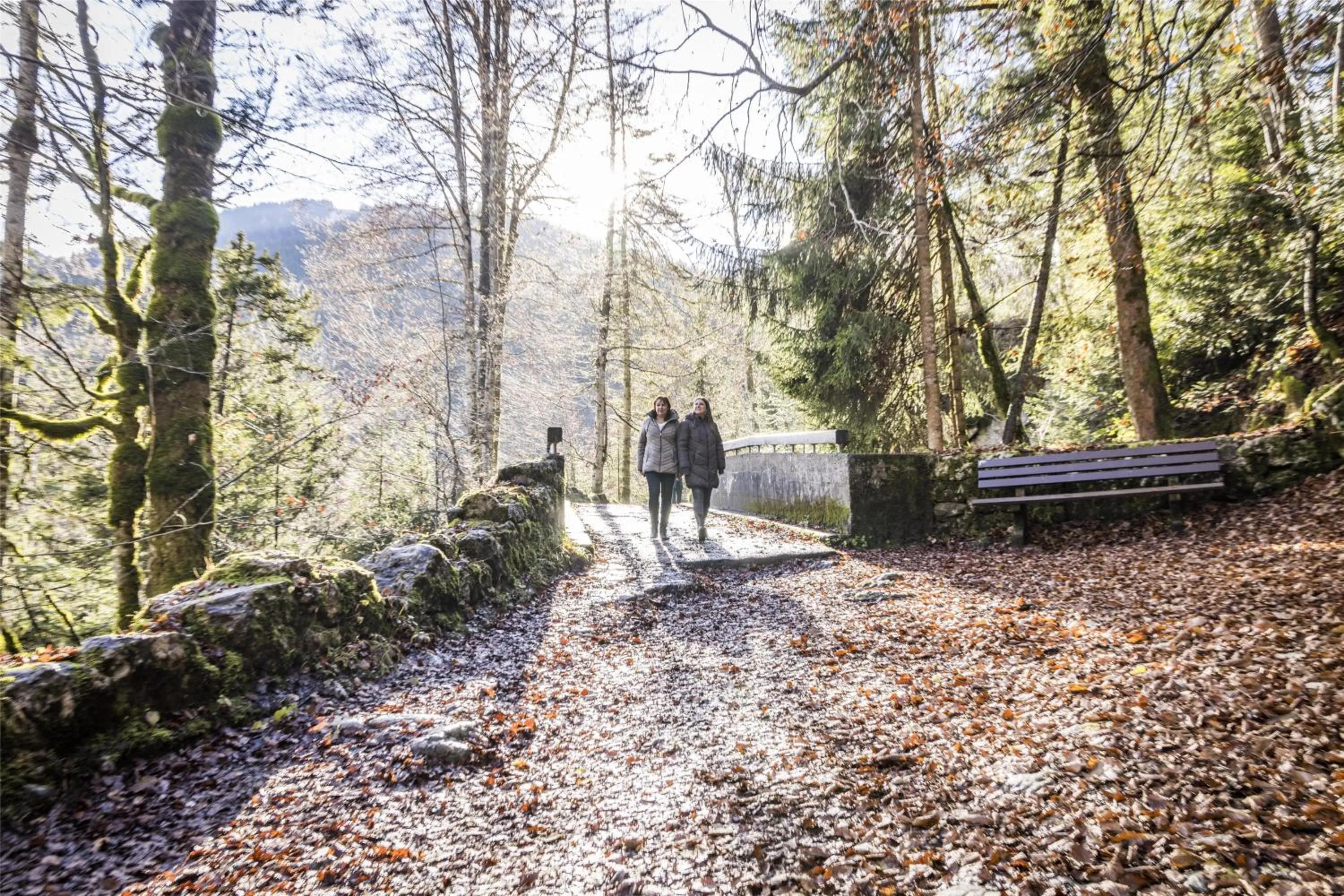 Nearby landmark in Feuriger Tatzlwurm Berghotel & Spa, BW Signature Collection