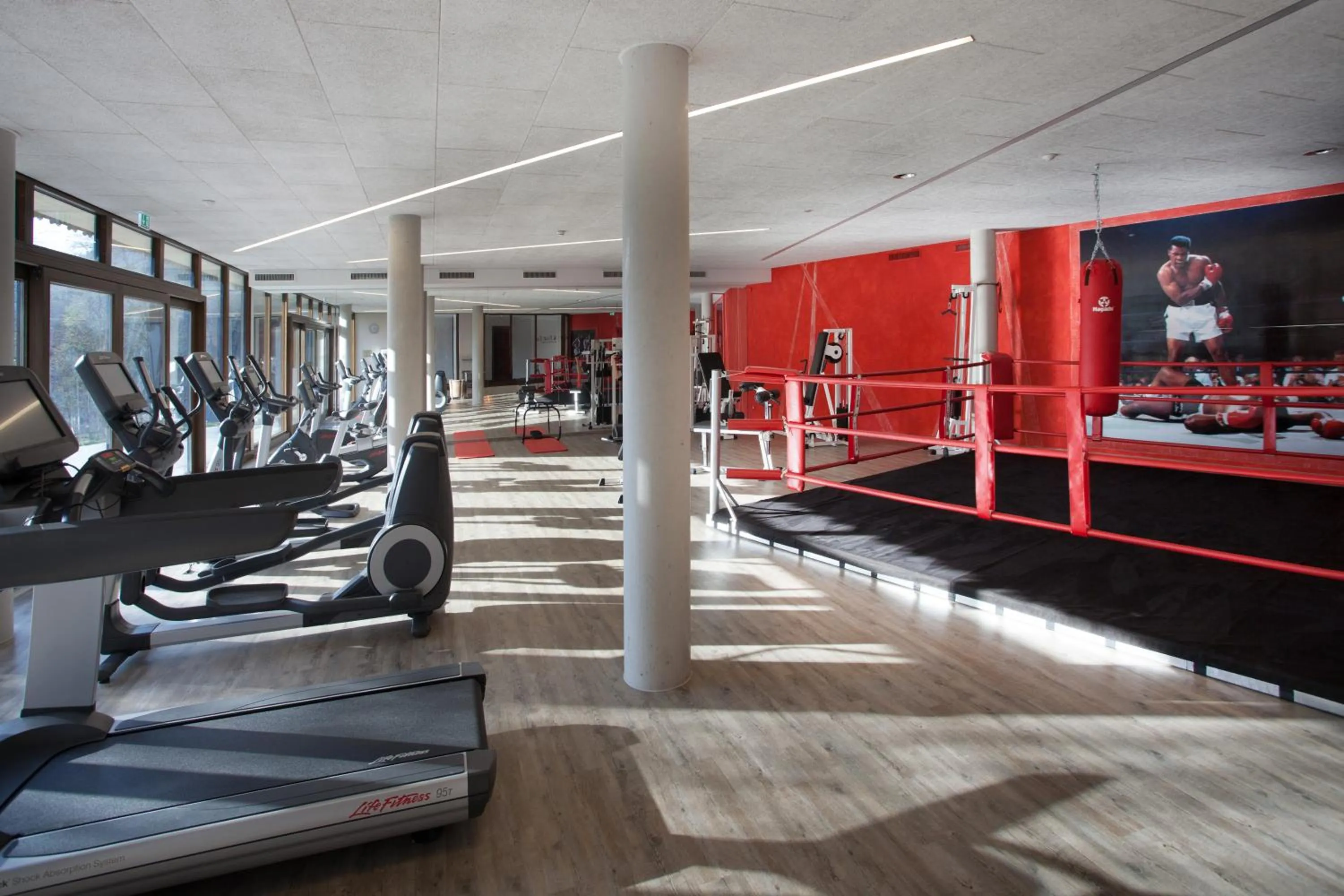 Fitness centre/facilities in Feuriger Tatzlwurm Berghotel & Spa, BW Signature Collection